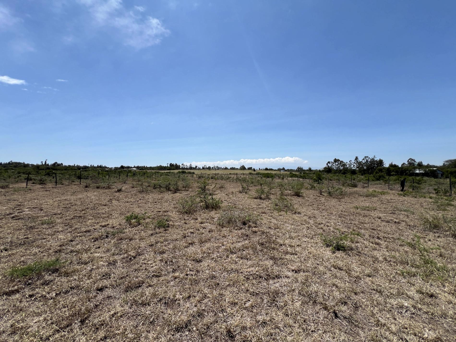 Prime 1/4 Acre Plots for Sale in Nanyuki Airstrip ā Ksh 450K - Image 9