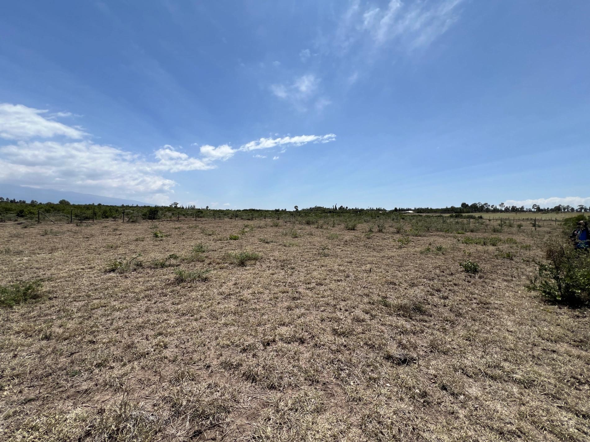 Prime 1/4 Acre Plots for Sale in Nanyuki Airstrip ā Ksh 450K - Image 10
