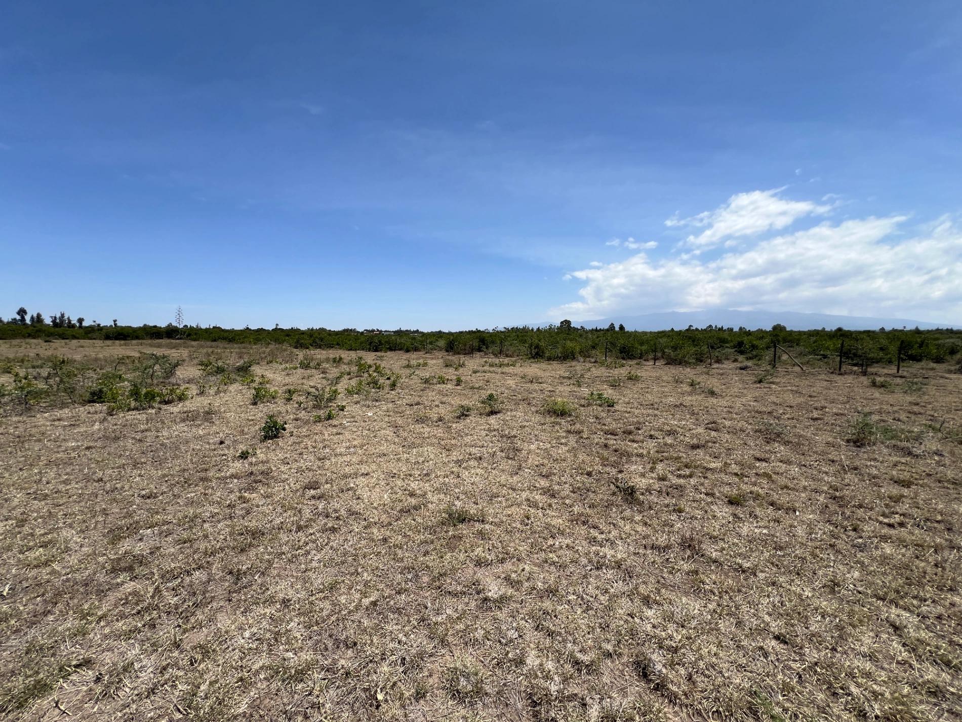 Prime 1/4 Acre Plots for Sale in Nanyuki Airstrip ā Ksh 450K - Image 3