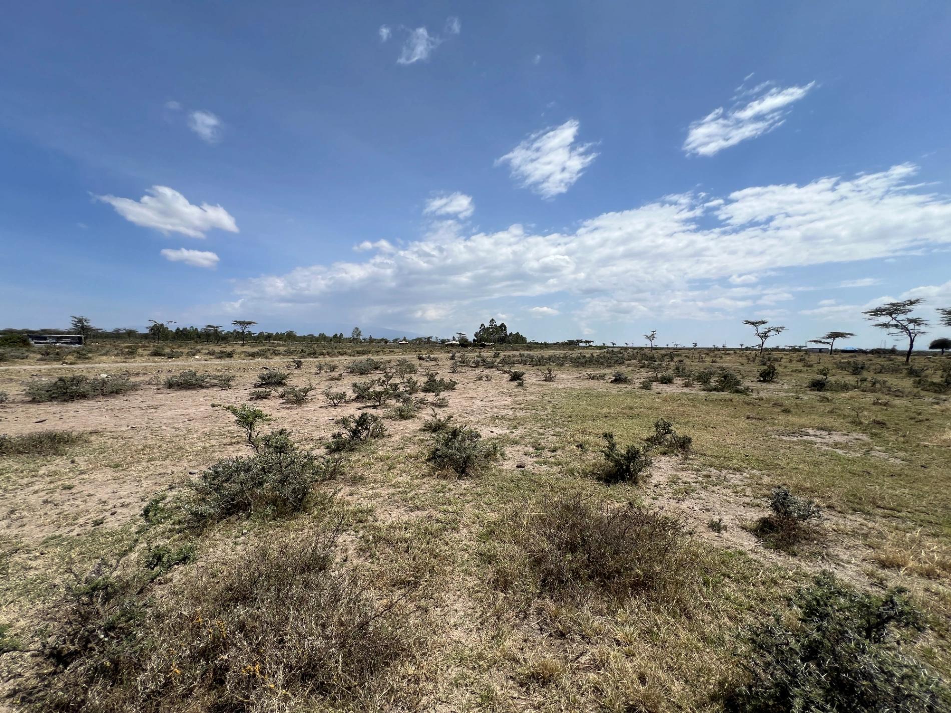 10 Acre Plots for sale in Nanyuki Olpejeta - Image 3