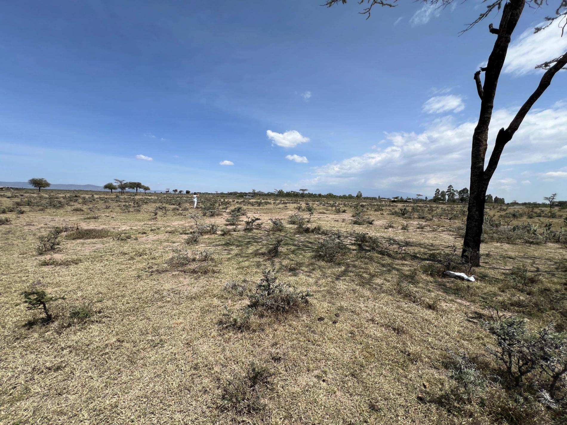 10 Acre Plots for sale in Nanyuki Olpejeta - Image 4