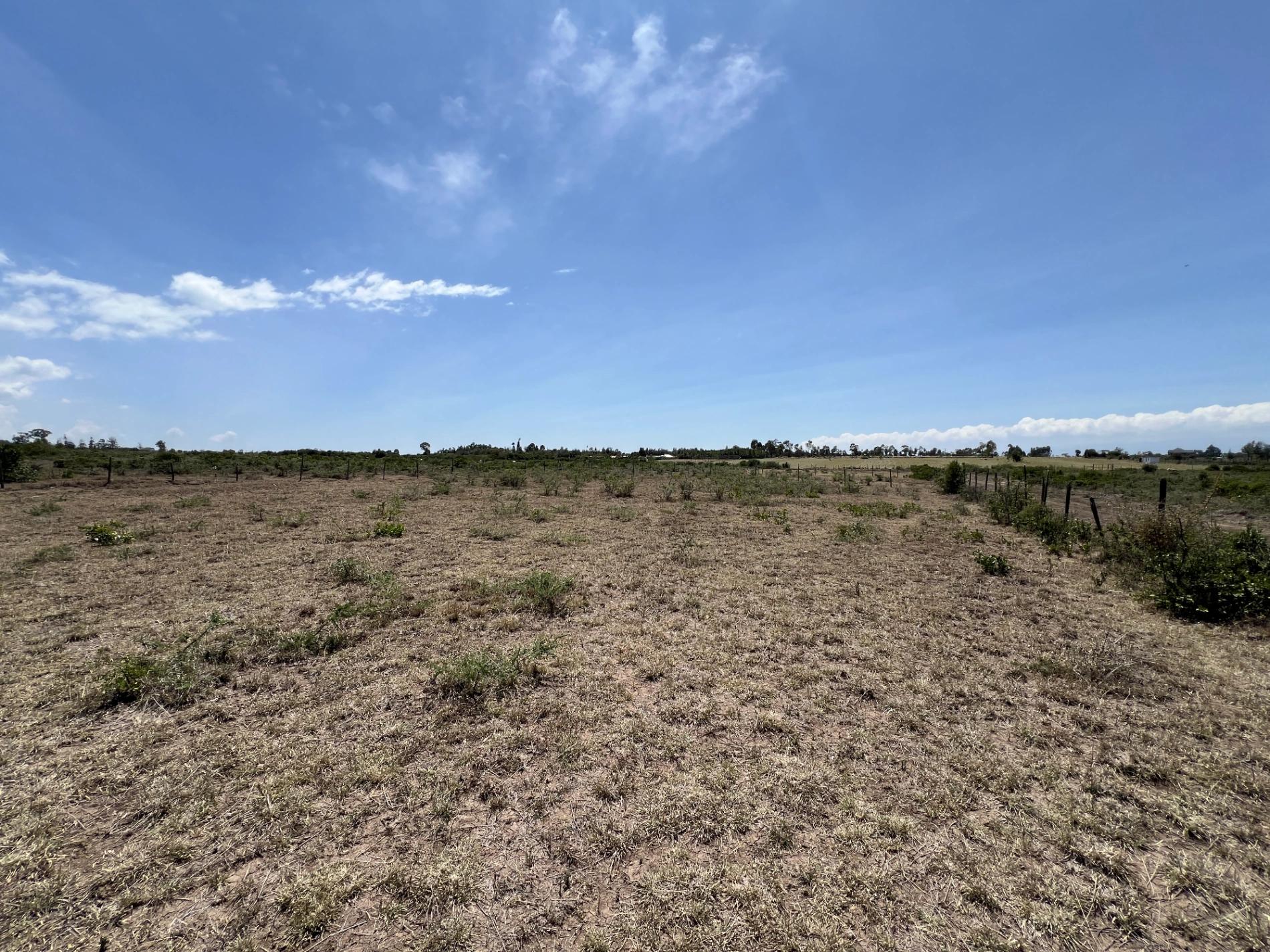 10 Acre Plots for sale in Nanyuki Olpejeta - Image 5