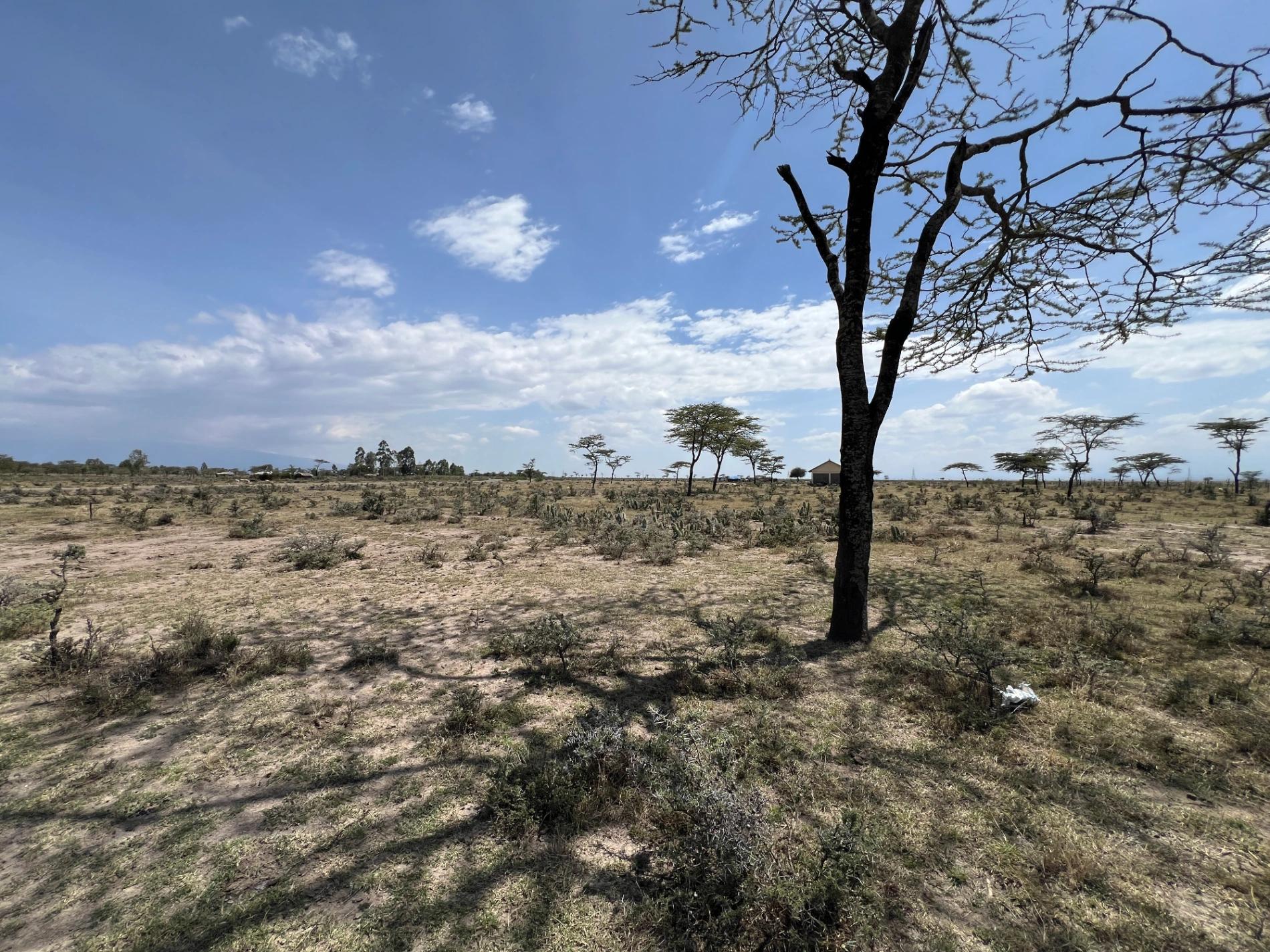 10 Acre Plots for sale in Nanyuki Olpejeta - Image 7
