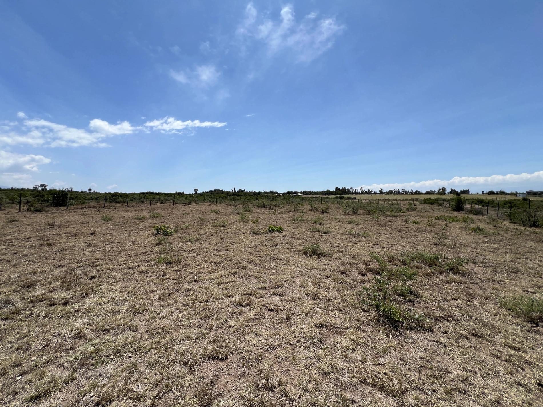 10 Acre Plots for sale in Nanyuki Olpejeta - Image 10