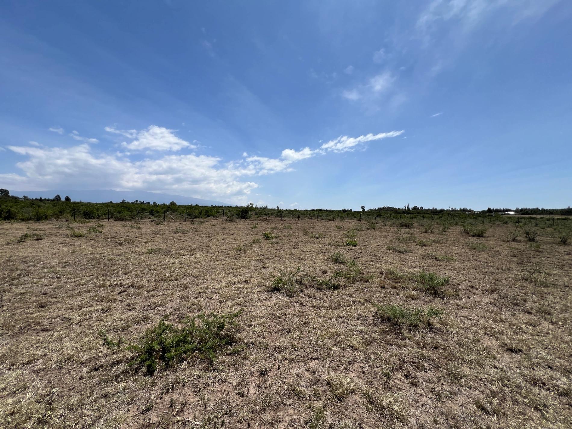 10 Acre Plots for sale in Nanyuki Olpejeta - Image 9