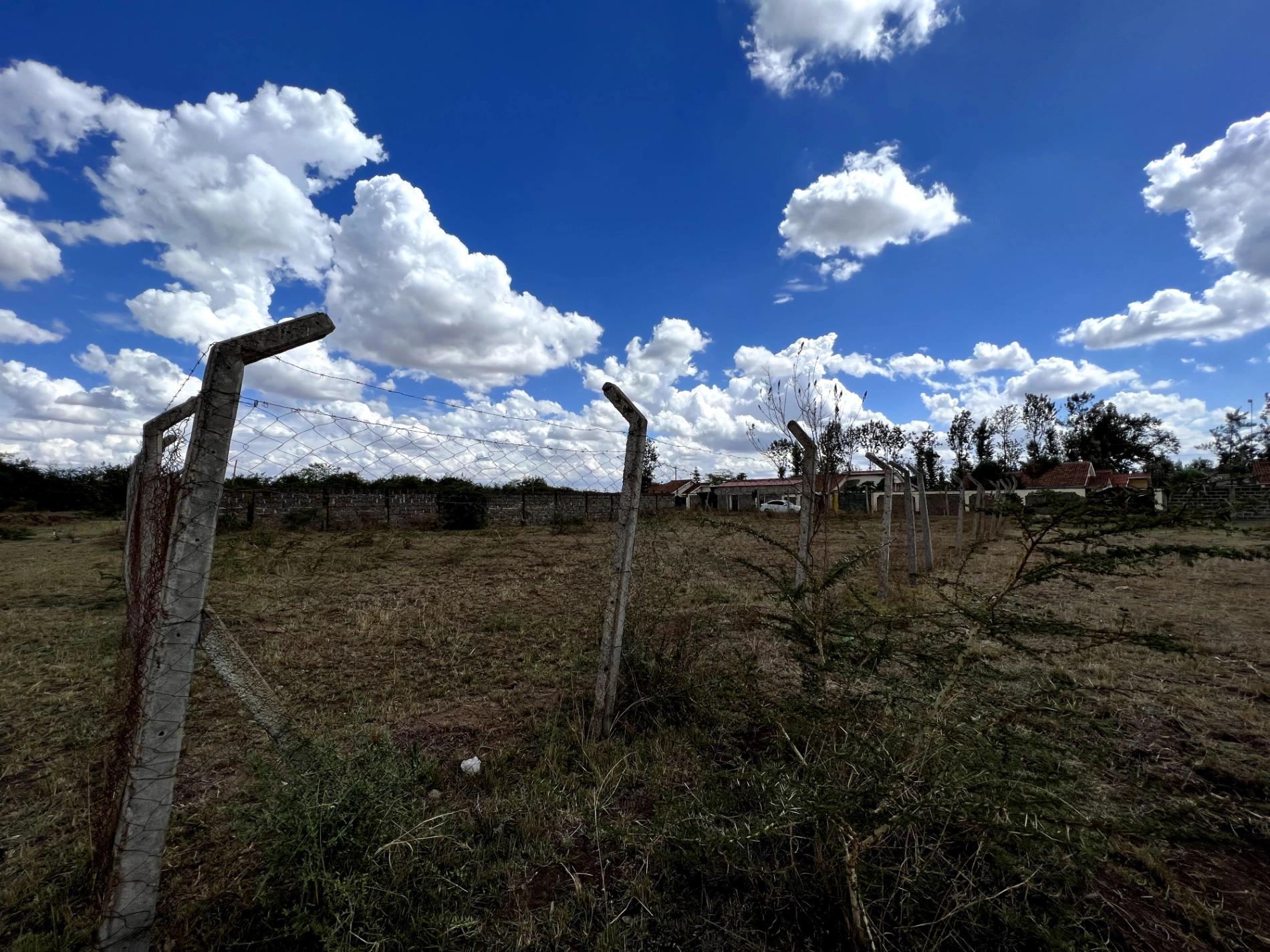 Plots For Sale in Ruiru Mugutha  - Image 2