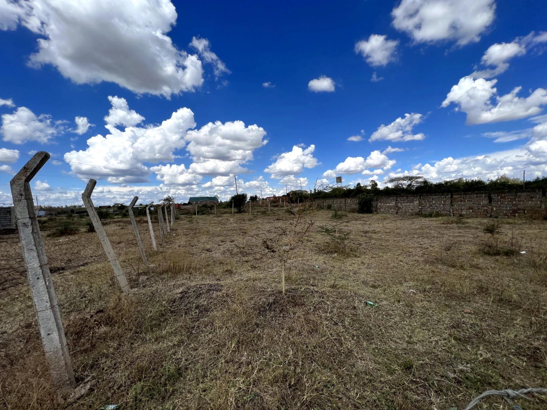 Plots For Sale in Ruiru Mugutha  - Image 7