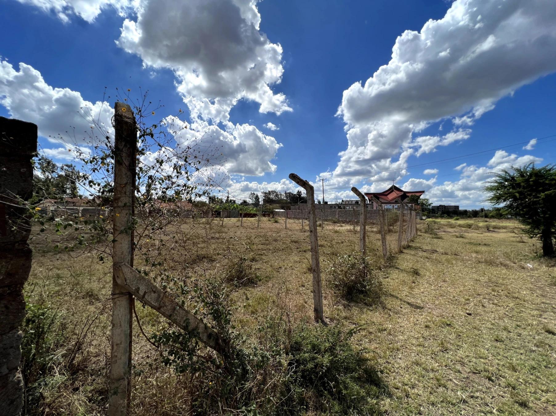 Plots For Sale in Ruiru Mugutha  - Image 12