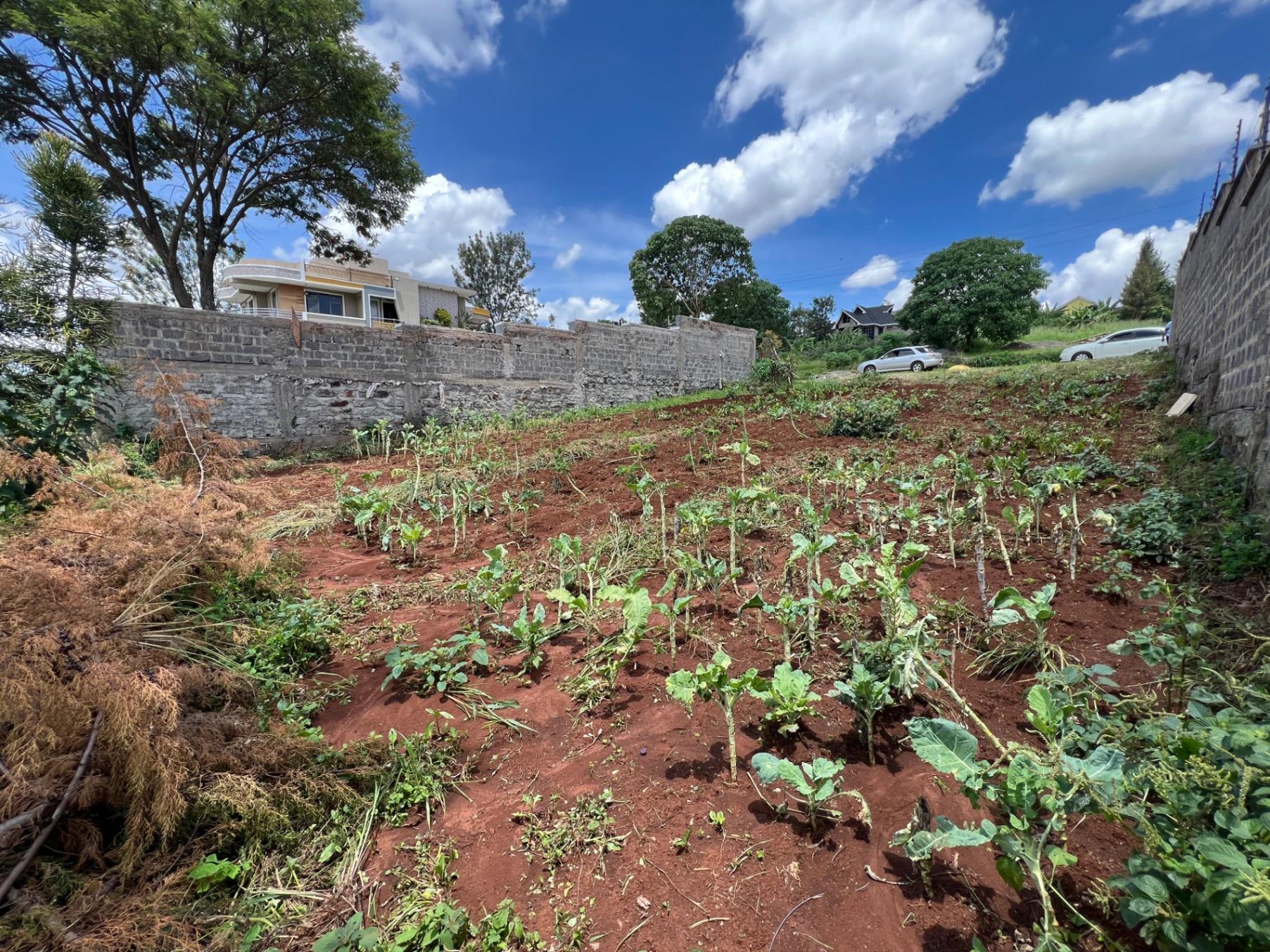 Plots for Sale – Ukombozi Estate, Ruiru - Image 7