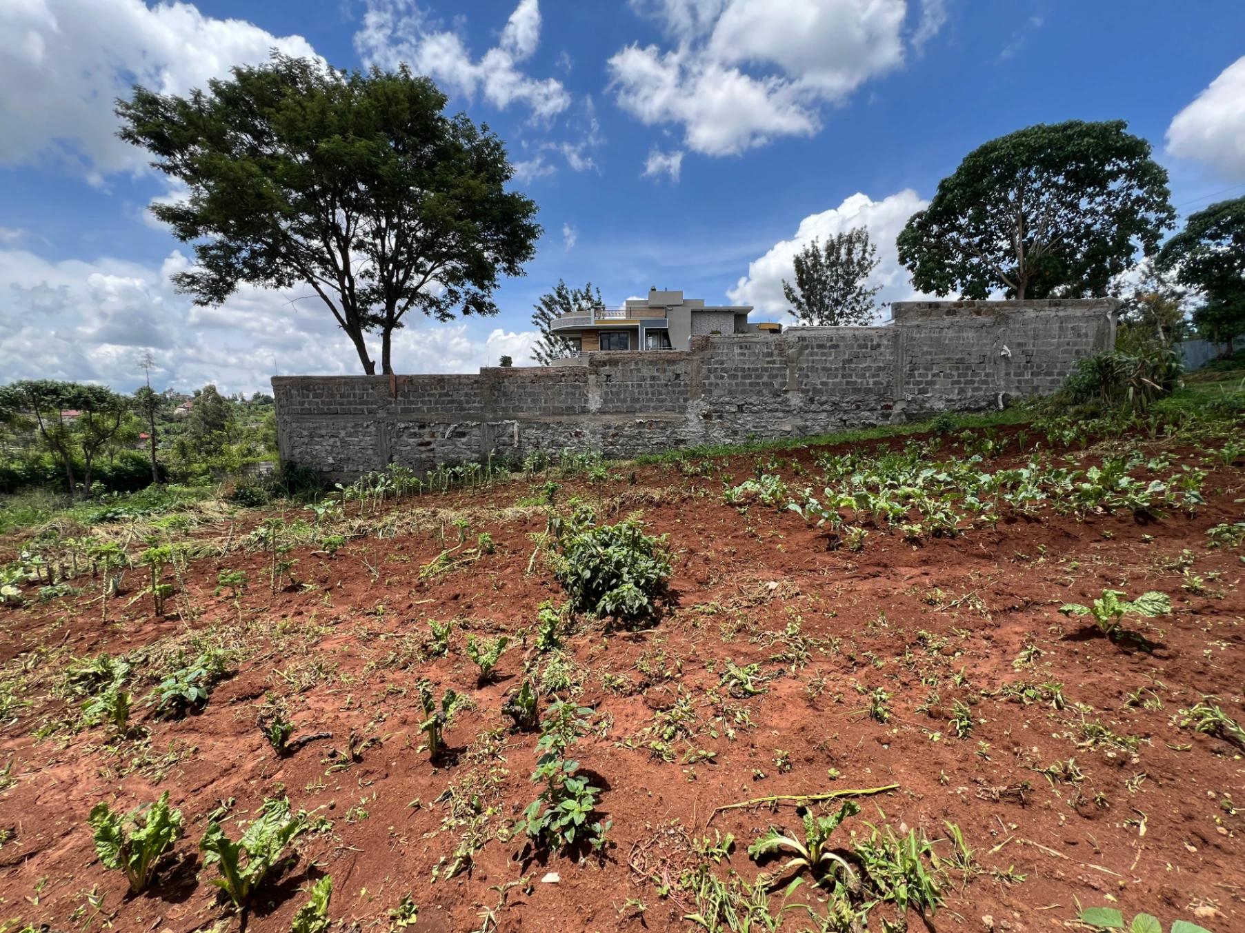 Plots for Sale – Ukombozi Estate, Ruiru - Image 5