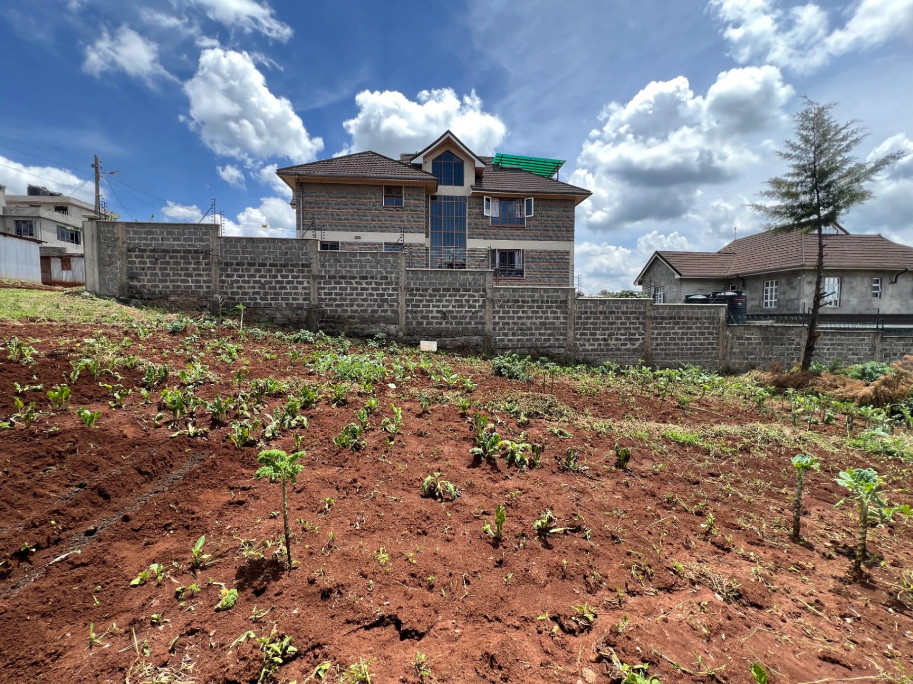 Plots for Sale – Ukombozi Estate, Ruiru - Image 6