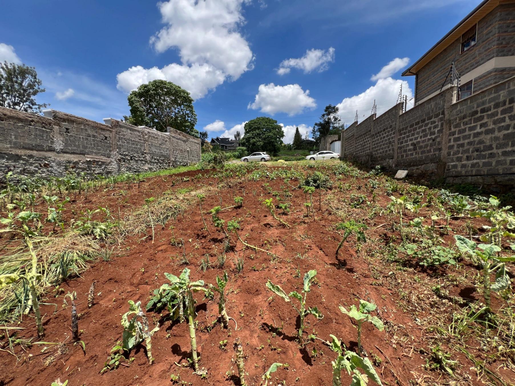 Plots for Sale – Ukombozi Estate, Ruiru - Image 8