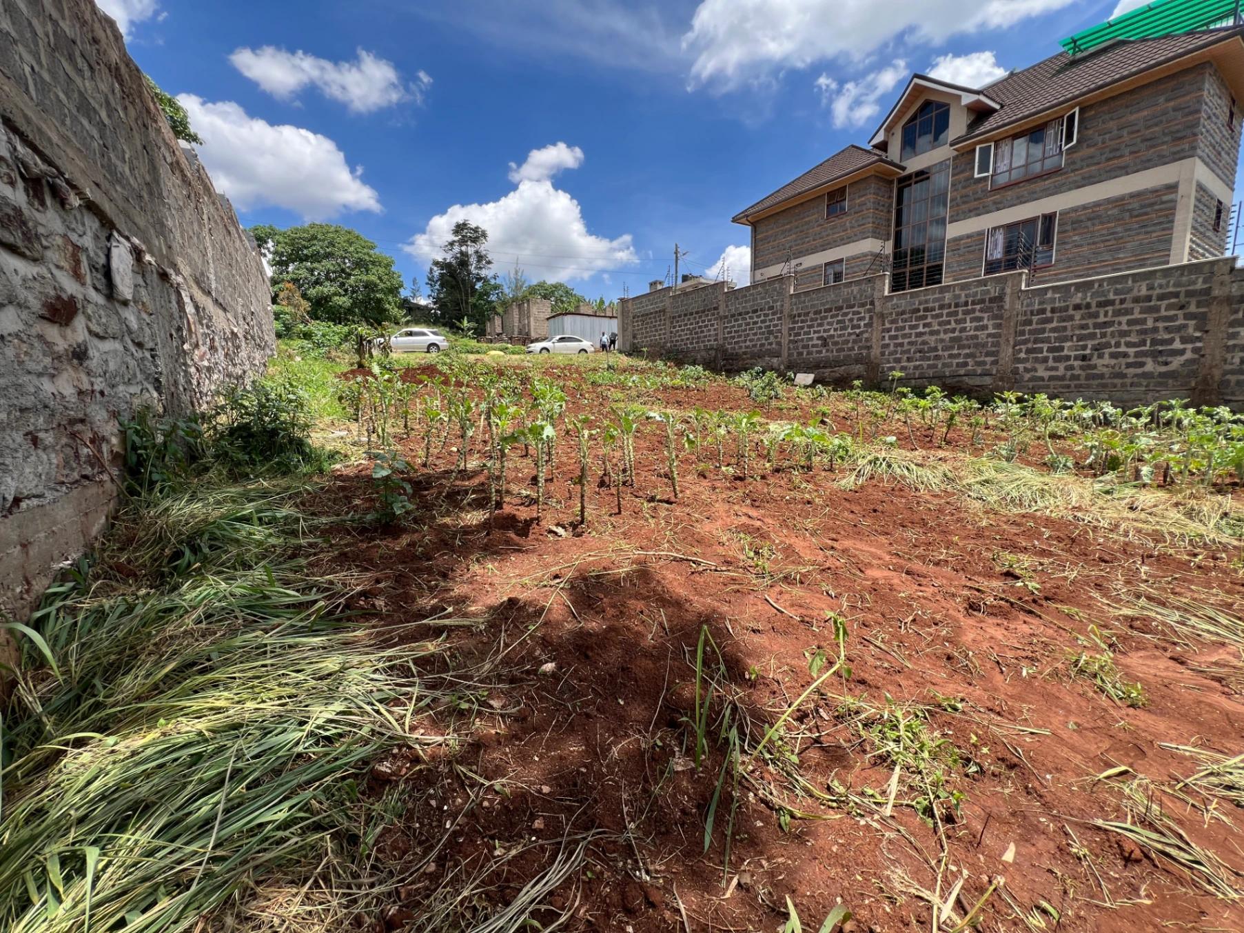 Plots for Sale – Ukombozi Estate, Ruiru - Image 9