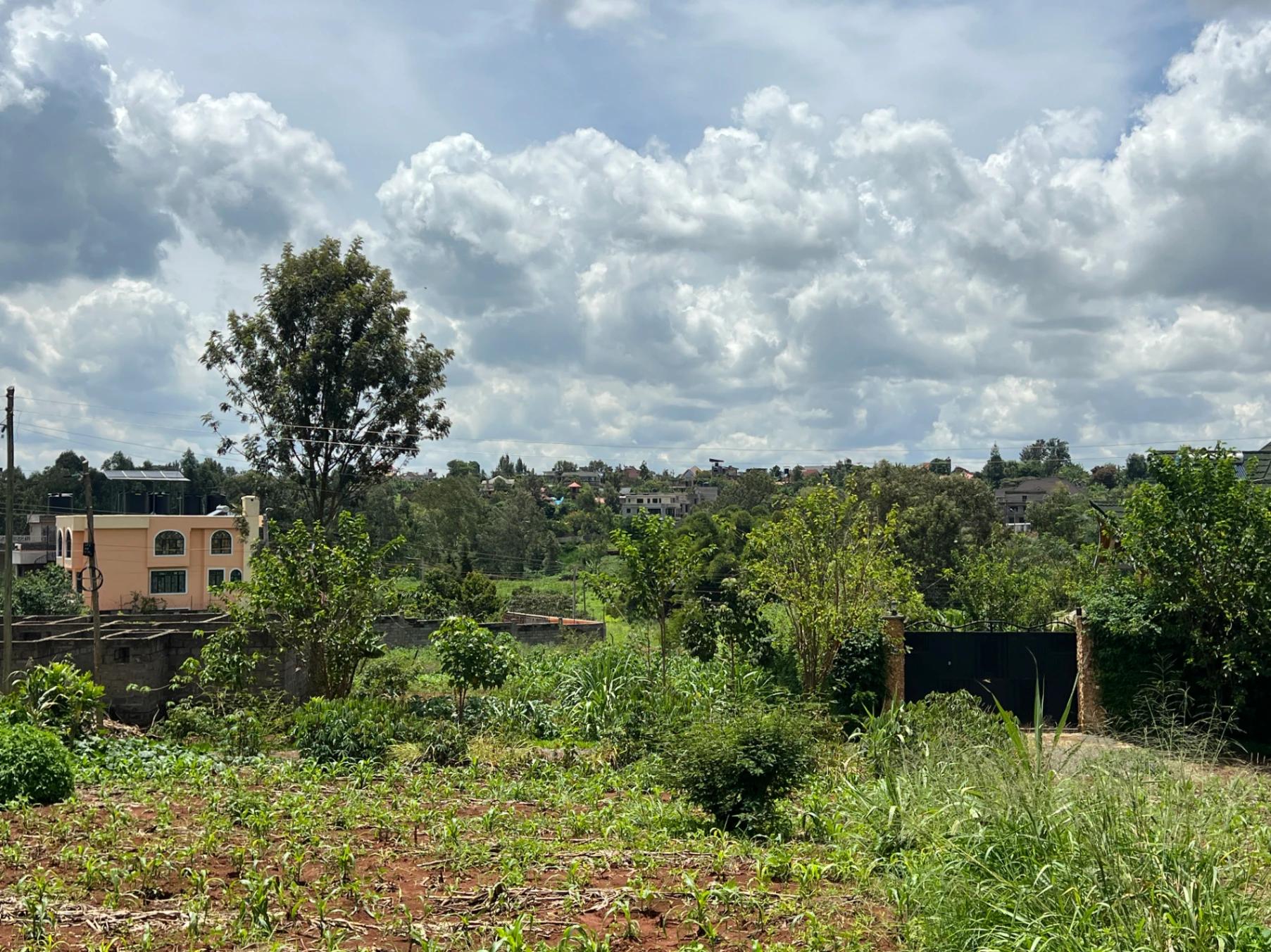 Plots for Sale – Ukombozi Estate, Ruiru - Image 3