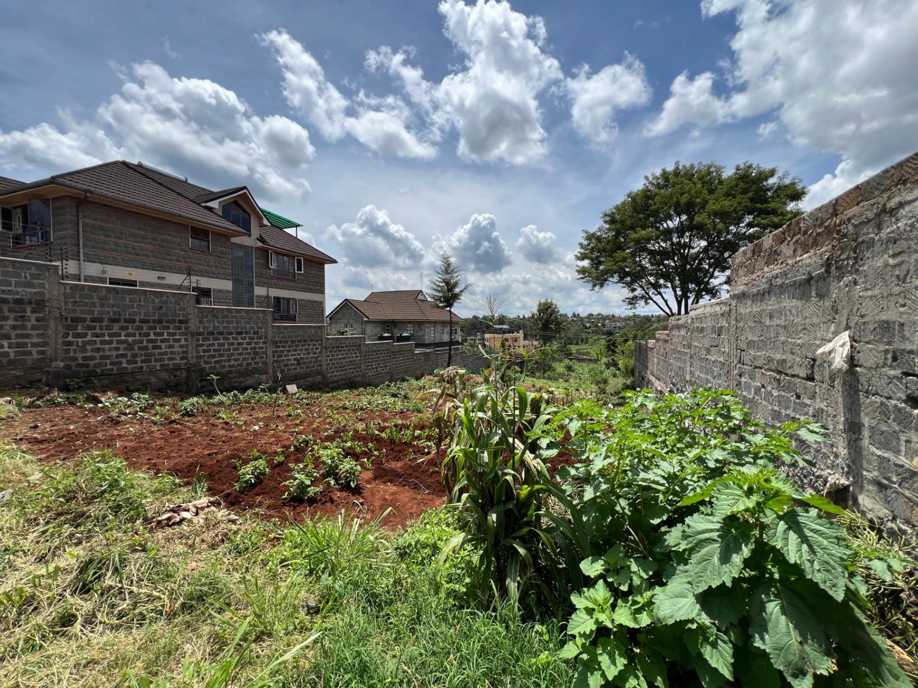 Plots for Sale – Ukombozi Estate, Ruiru - Image 4