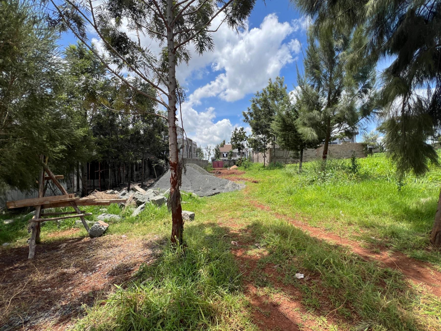 Plots for Sale – Imani Estate, Githunguri Road (Ruiru) - Image 9