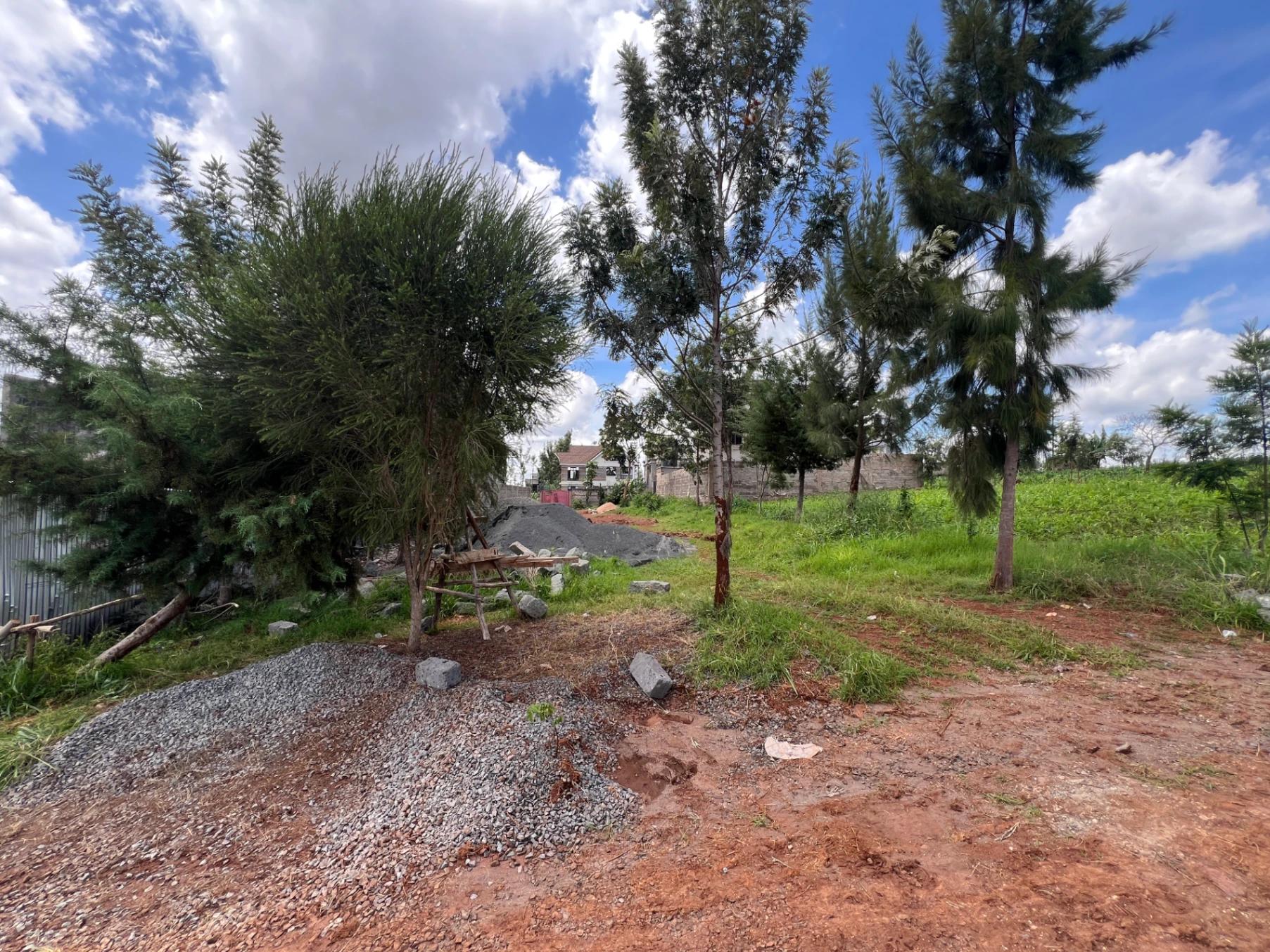 Plots for Sale – Imani Estate, Githunguri Road (Ruiru) - Image 3