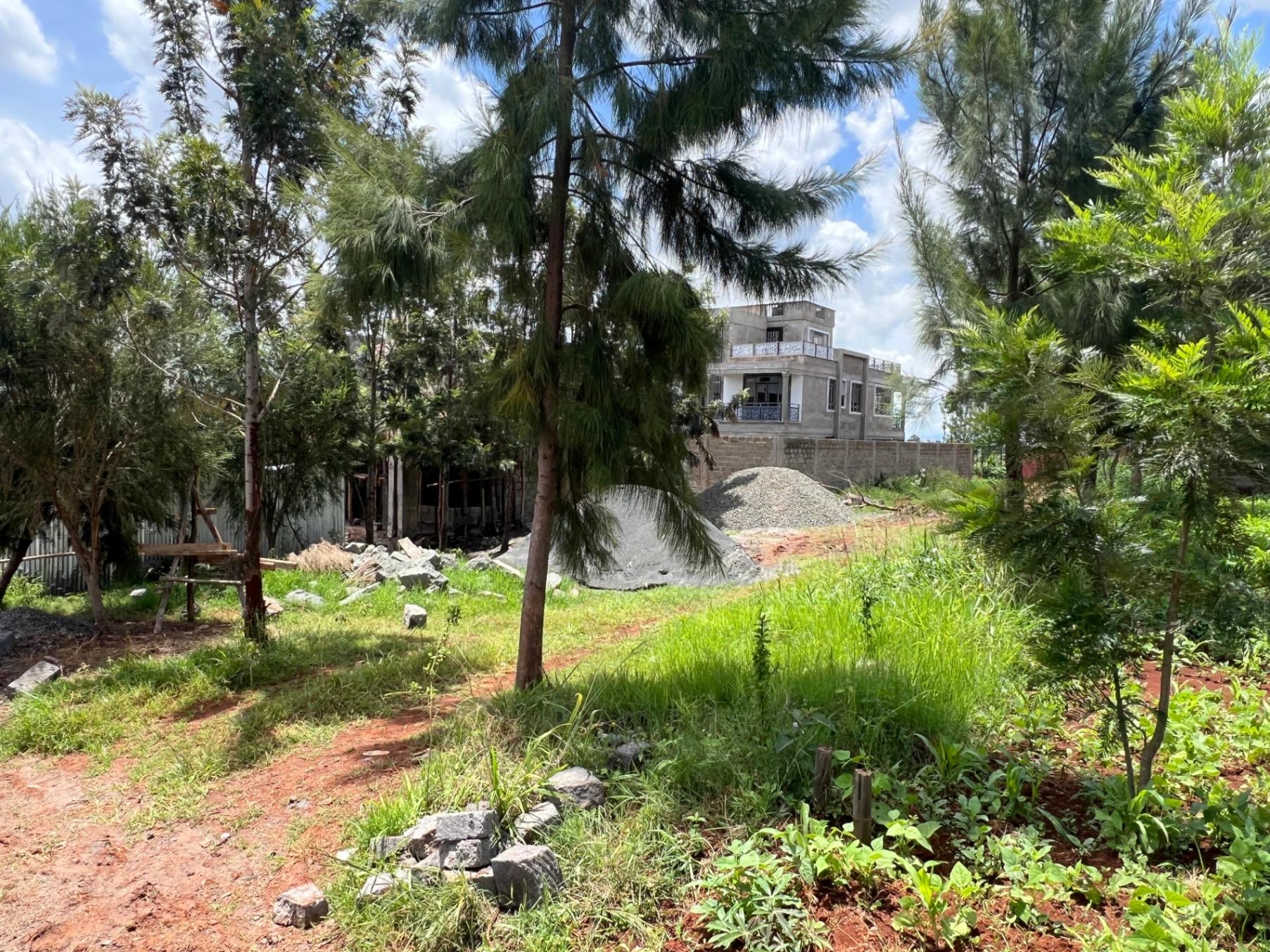 Plots for Sale – Imani Estate, Githunguri Road (Ruiru) - Image 4