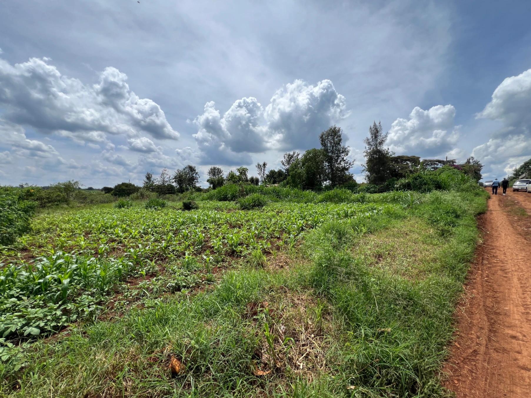 Plots for Sale – Green Ridge Estate, Mugutha (Ruiru) - Image 6