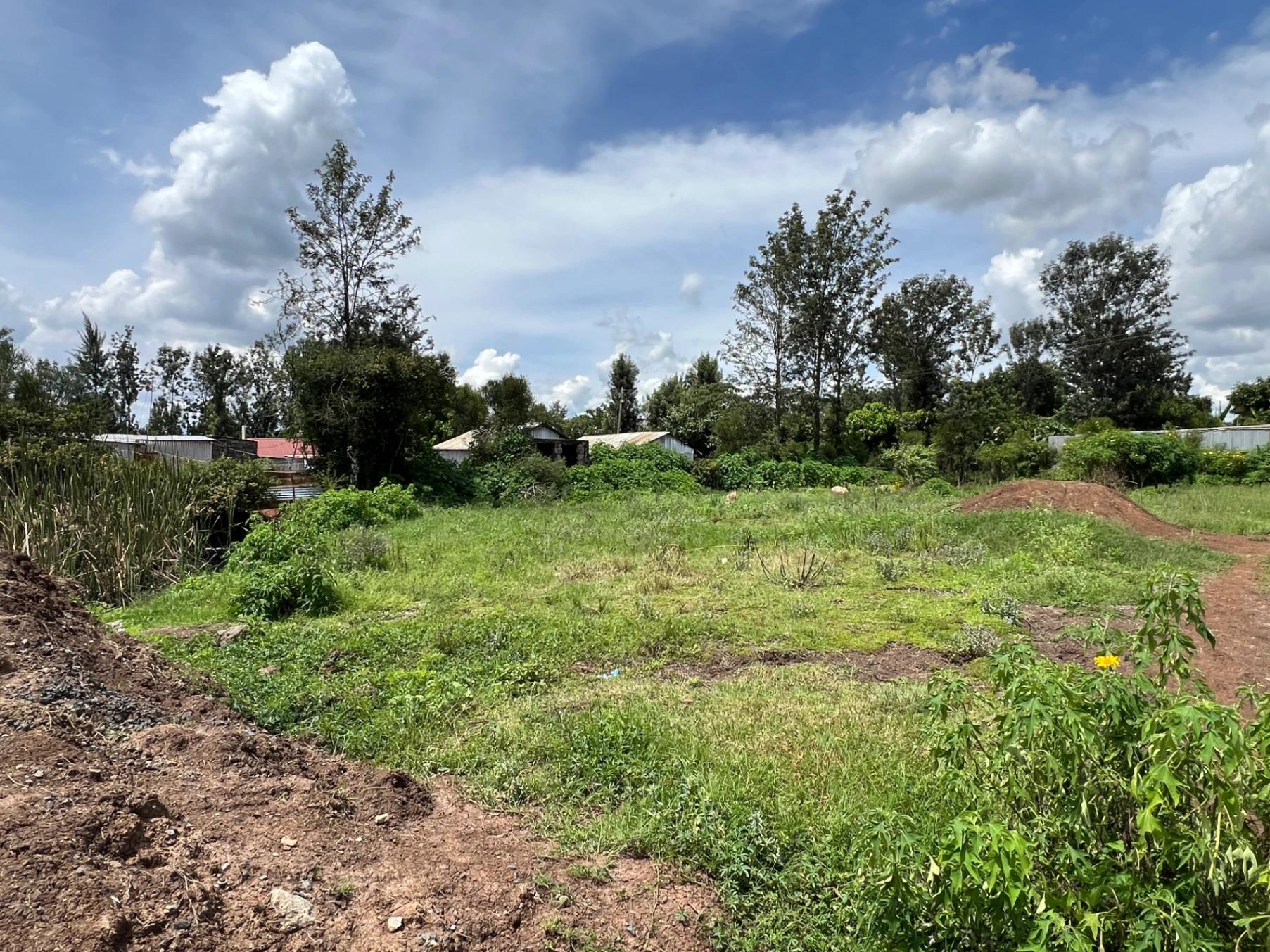 Plots for Sale – Green Ridge Estate, Mugutha (Ruiru) - Image 13