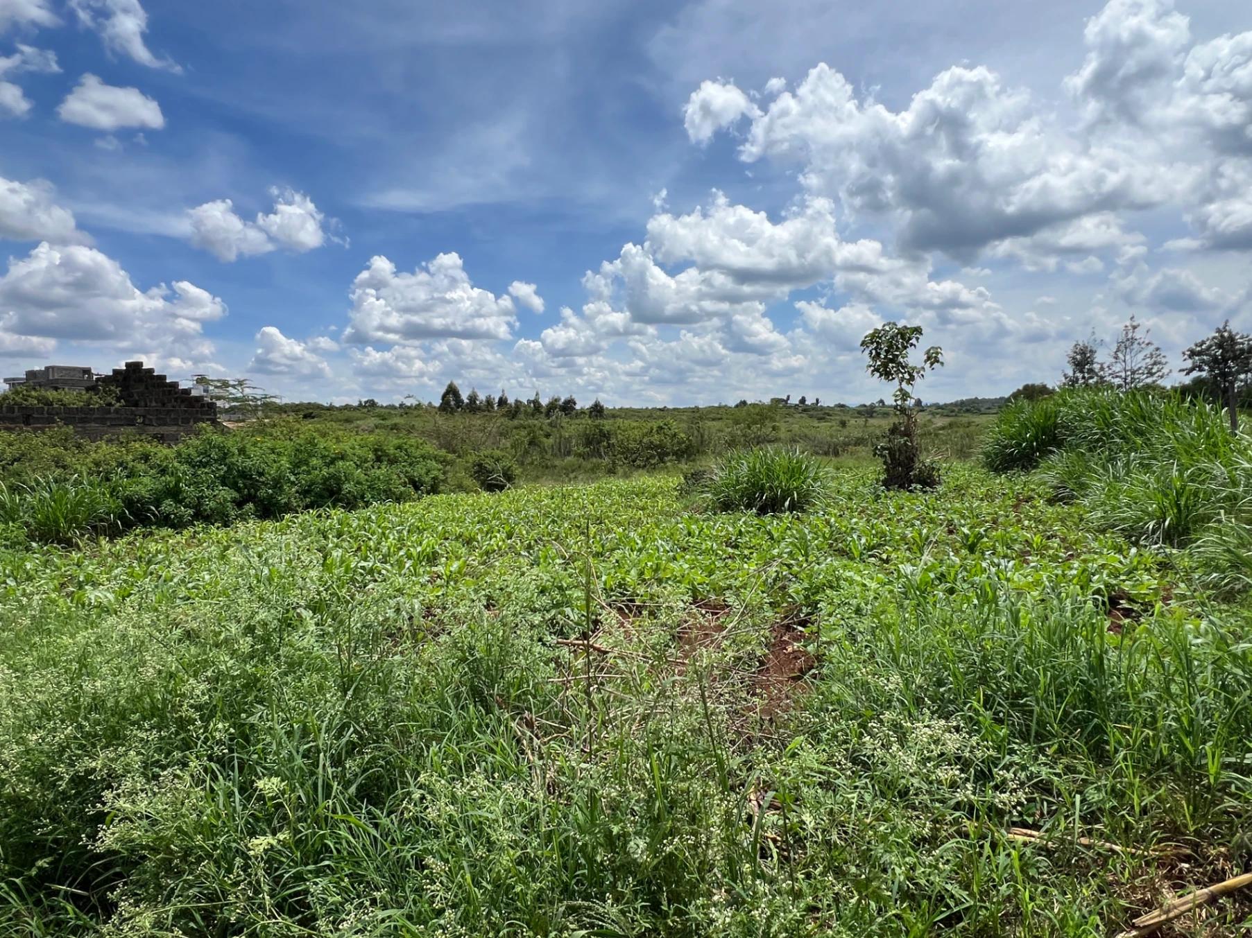 Plots for Sale – Green Ridge Estate, Mugutha (Ruiru) - Image 11