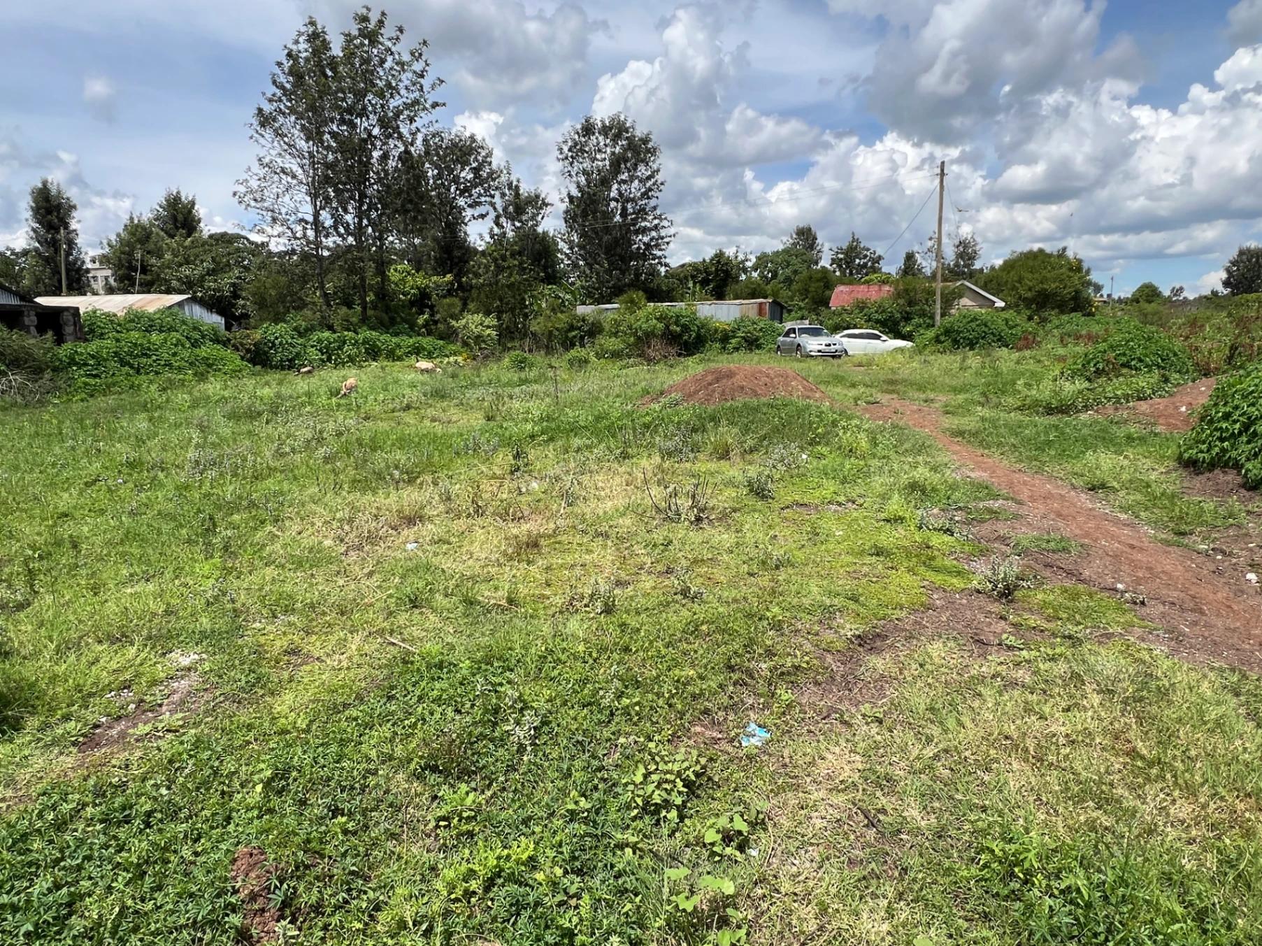 Plots for Sale – Green Ridge Estate, Mugutha (Ruiru) - Image 4
