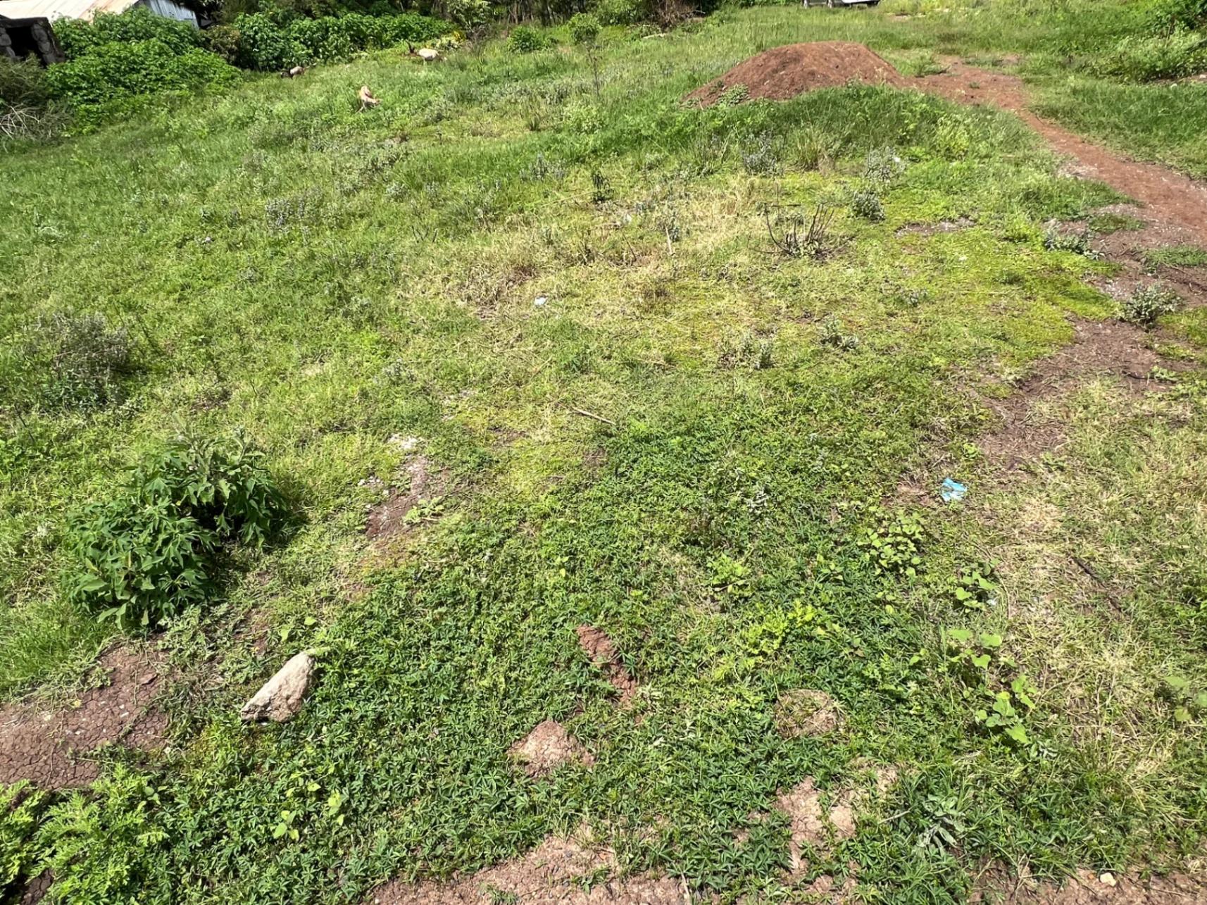 Plots for Sale – Green Ridge Estate, Mugutha (Ruiru) - Image 5