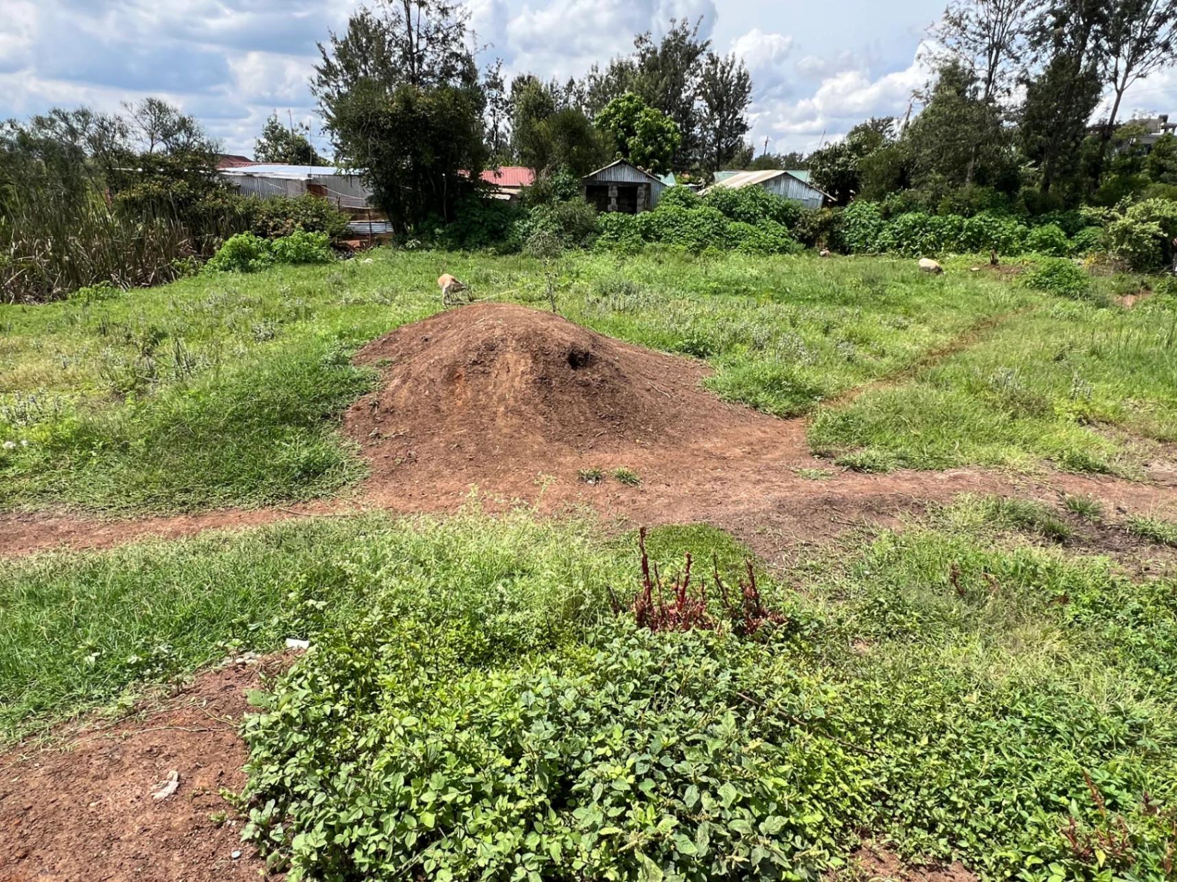 Plots for Sale – Green Ridge Estate, Mugutha (Ruiru) - Image 8