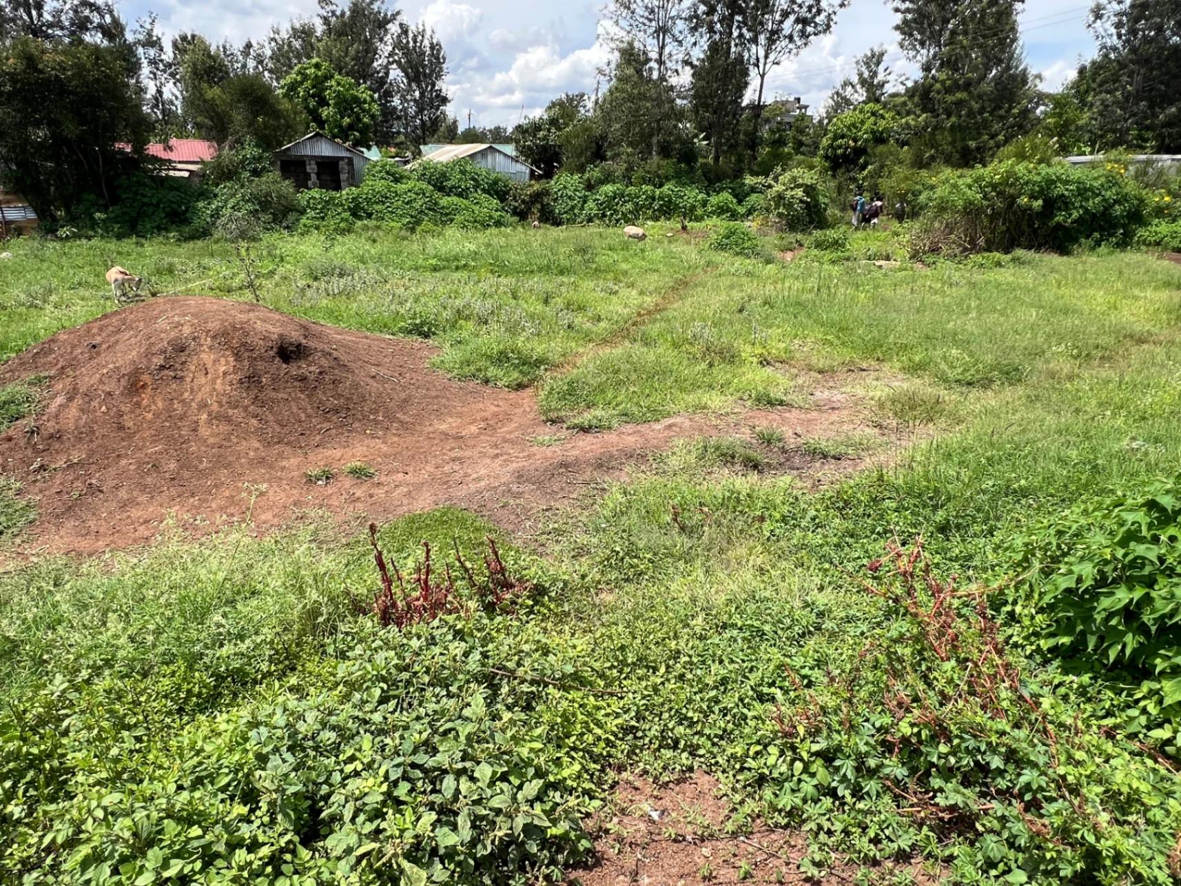 Plots for Sale – Green Ridge Estate, Mugutha (Ruiru) - Image 9