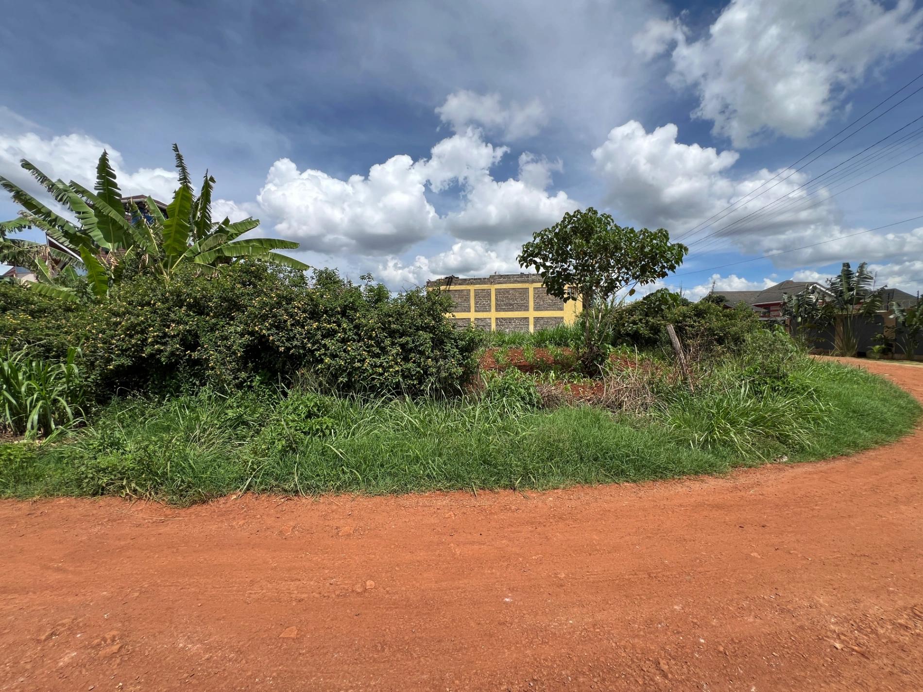 Plots for Sale – Judea Palm Estate, Mugutha (Ruiru) - Image 13