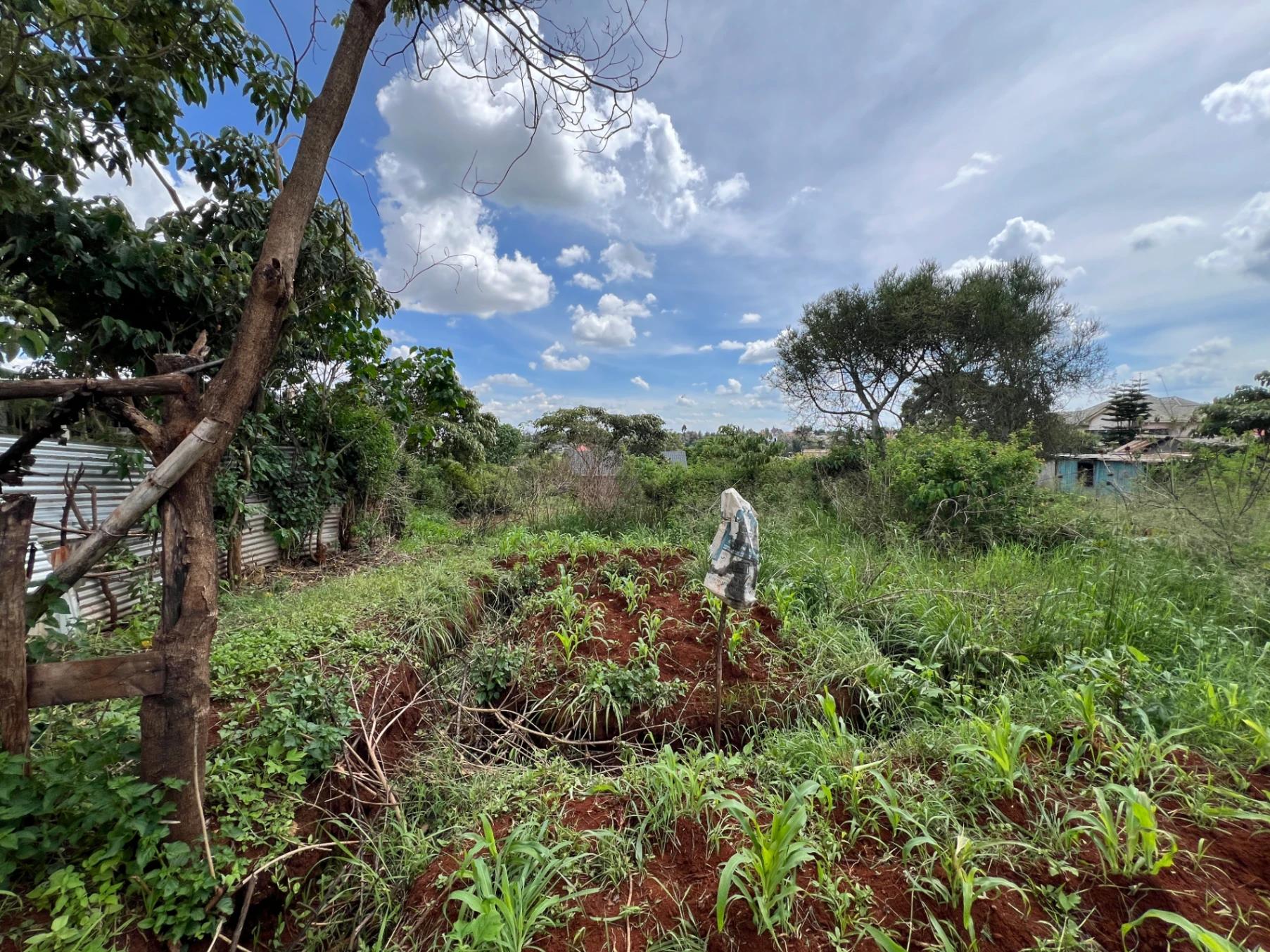 Plots for Sale – Judea Palm Estate, Mugutha (Ruiru) - Image 11