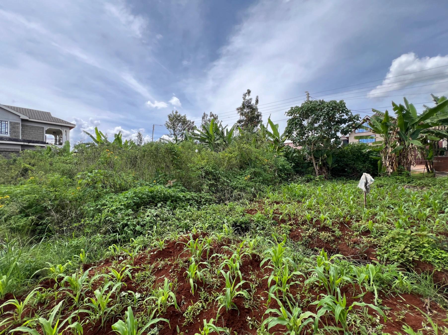 Plots for Sale – Judea Palm Estate, Mugutha (Ruiru) - Image 8