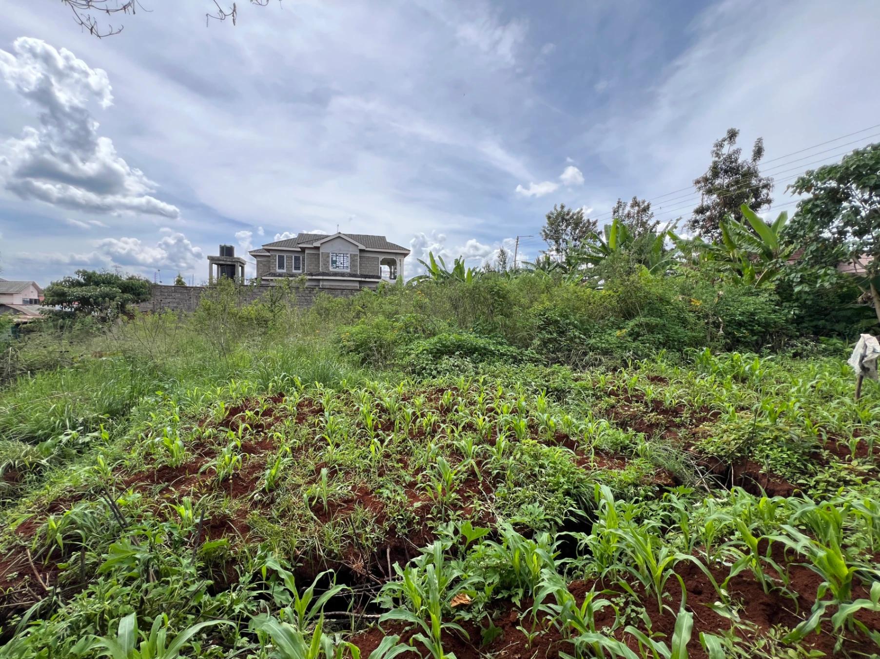 Plots for Sale – Judea Palm Estate, Mugutha (Ruiru) - Image 3