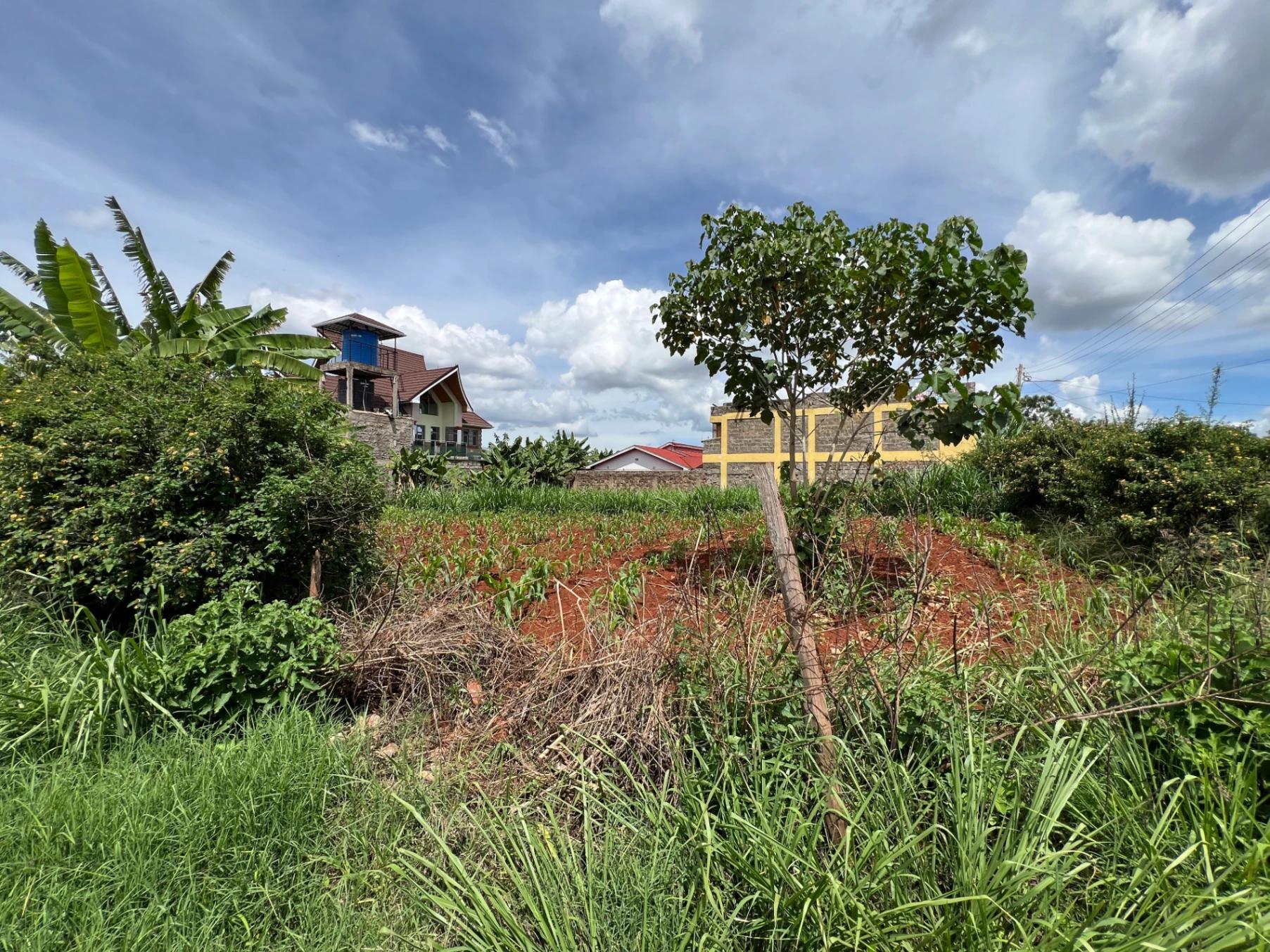 Plots for Sale – Judea Palm Estate, Mugutha (Ruiru) - Image 6