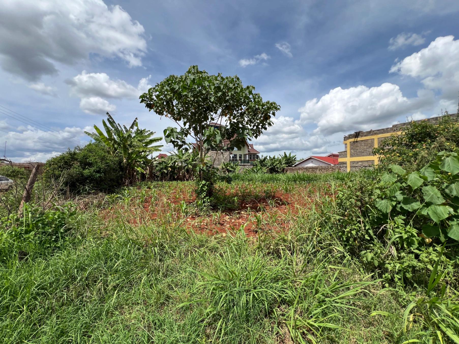 Plots for Sale – Judea Palm Estate, Mugutha (Ruiru) - Image 15