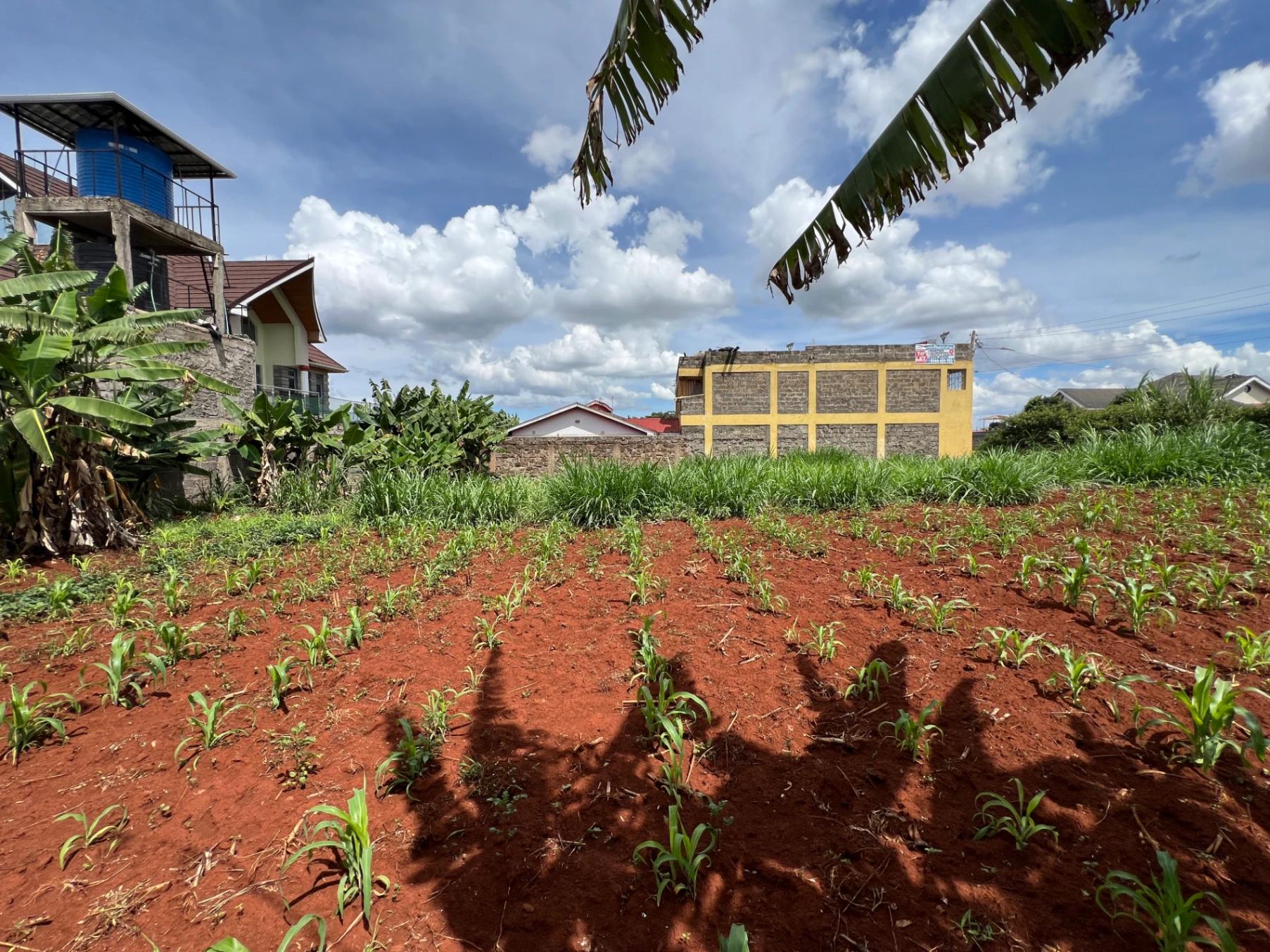 Plots for Sale – Judea Palm Estate, Mugutha (Ruiru) - Image 16