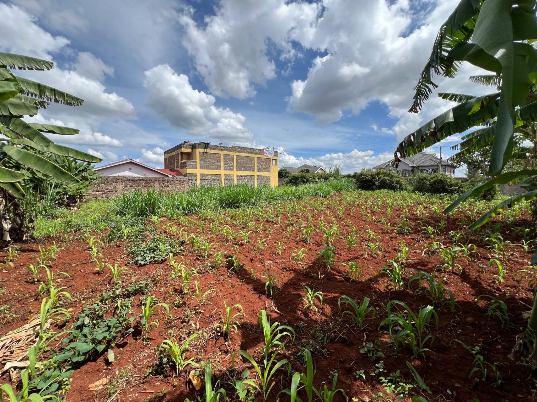 Plots for Sale – Judea Palm Estate, Mugutha (Ruiru) - Image 17