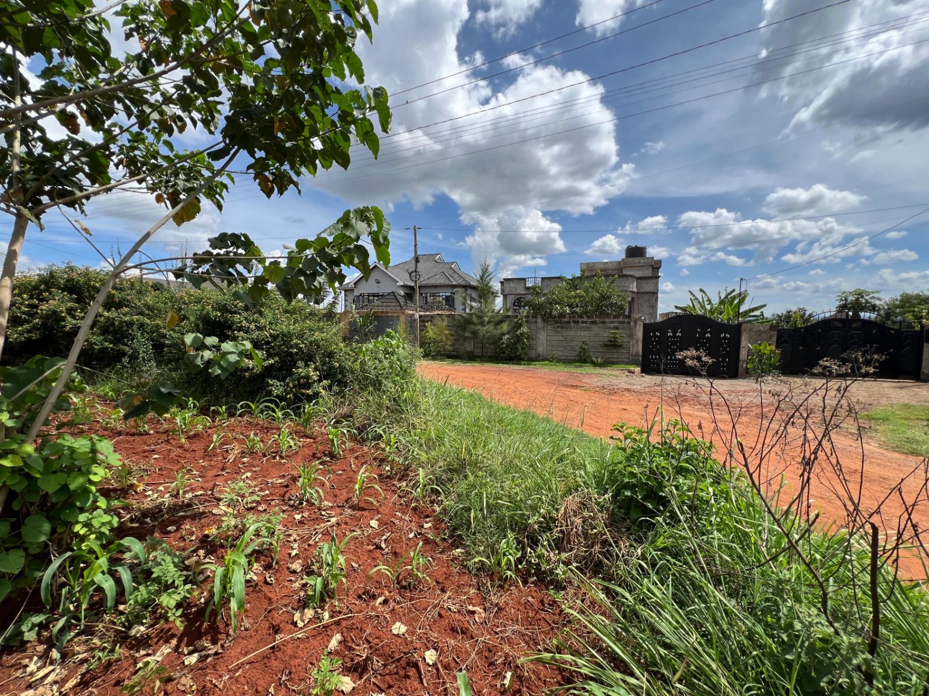 Plots for Sale – Judea Palm Estate, Mugutha (Ruiru) - Image 14