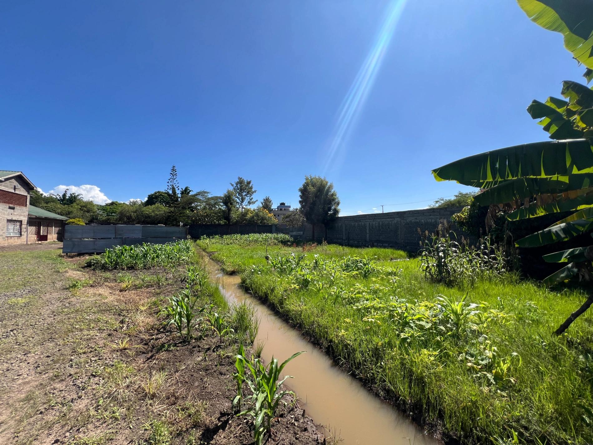0.5 Acre Land for Sale – Mugutha (Ruiru) - Image 8