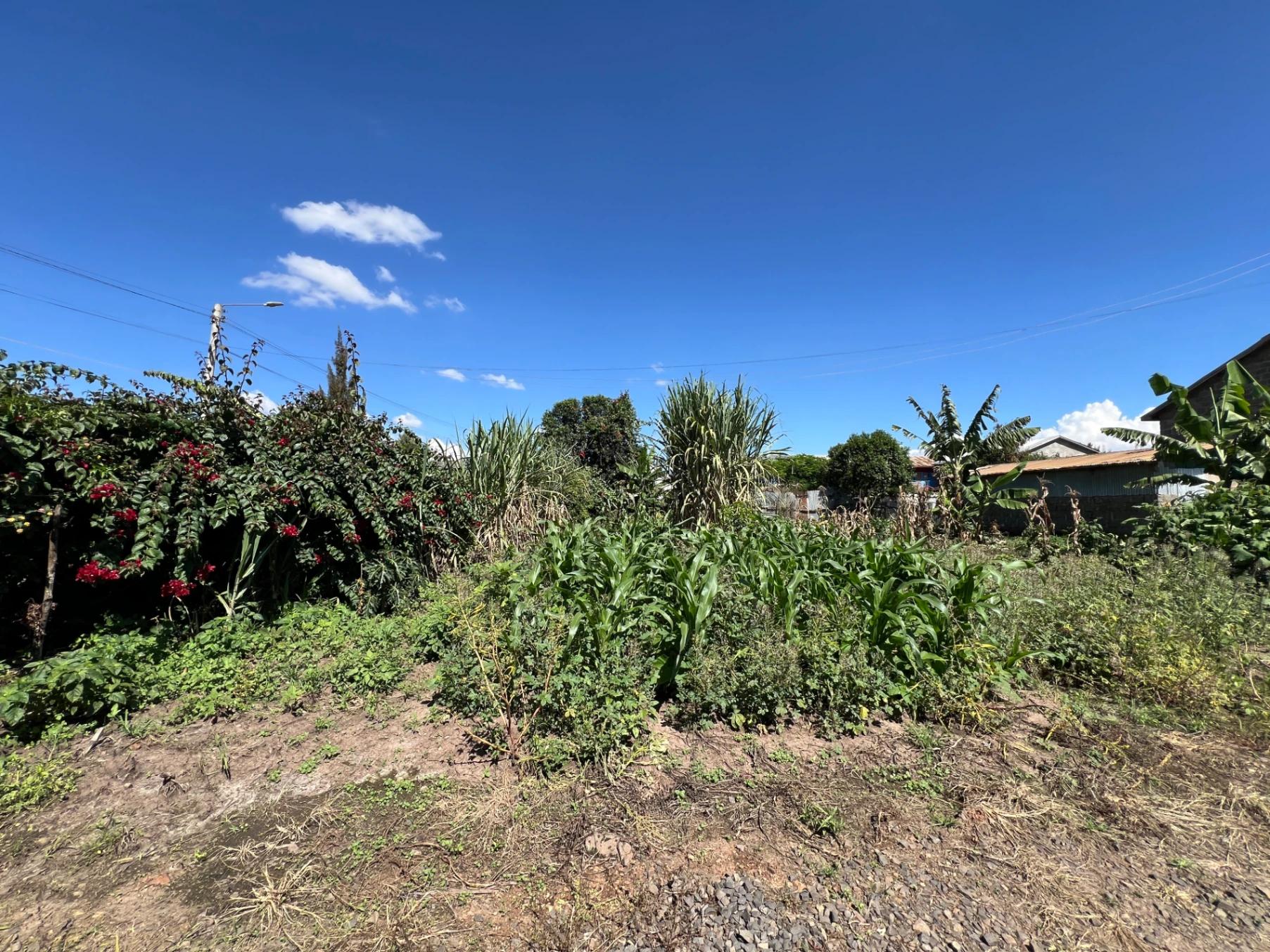 0.5 Acre Land for Sale – Mugutha (Ruiru) - Image 7