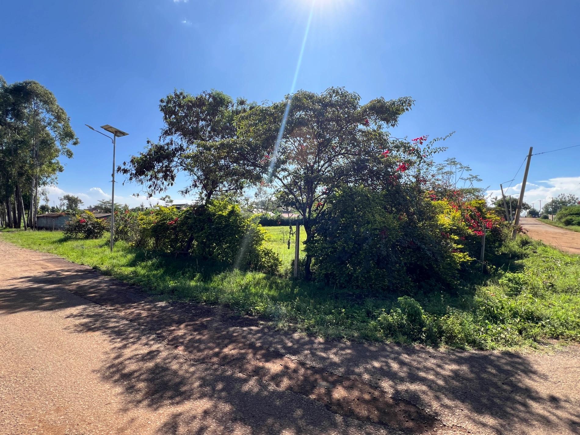 Land for Sale – Mugutha, Kiganjo Road (Ruiru) - Image 3