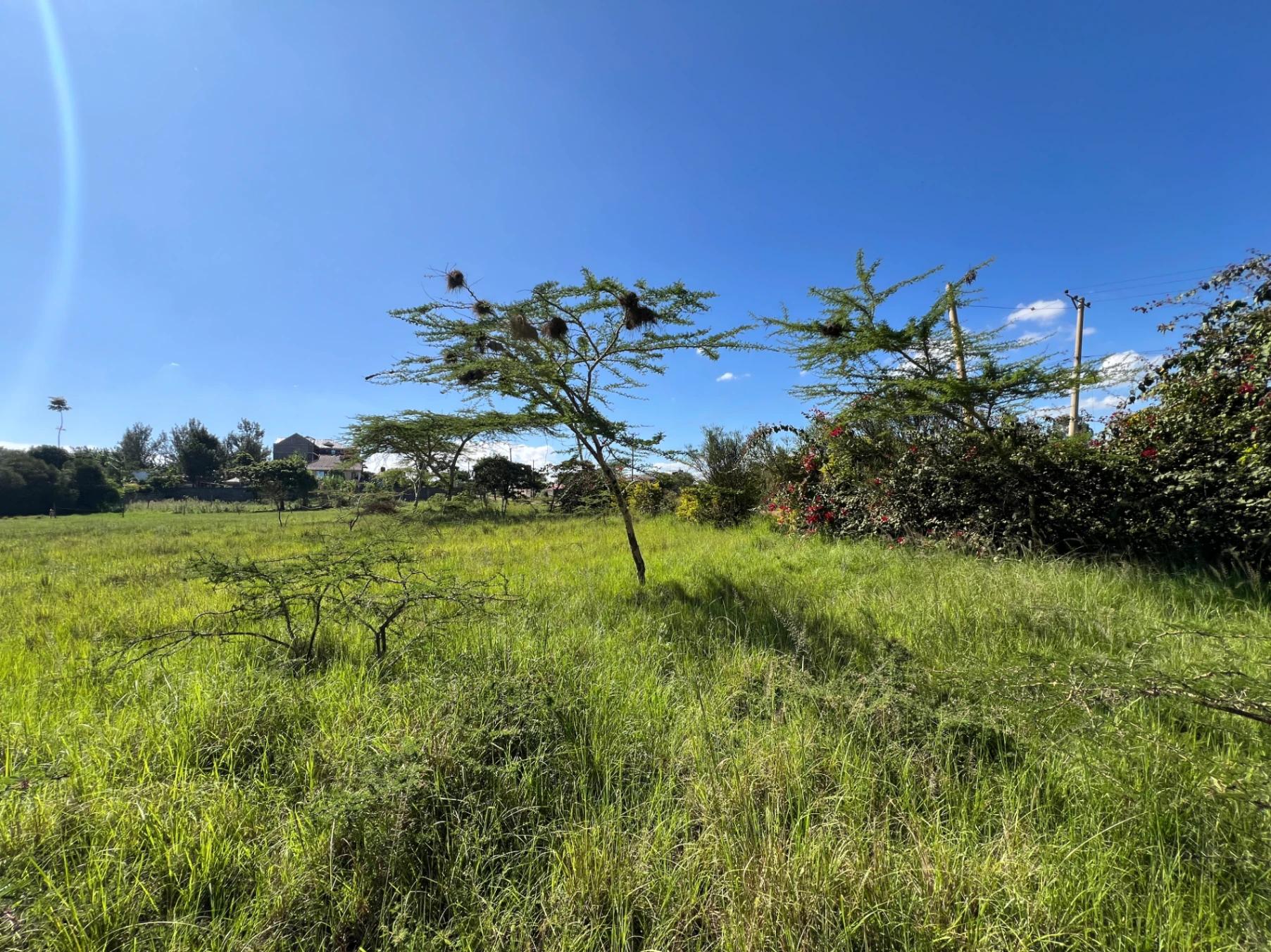 Land for Sale – Mugutha, Kiganjo Road (Ruiru) - Image 6