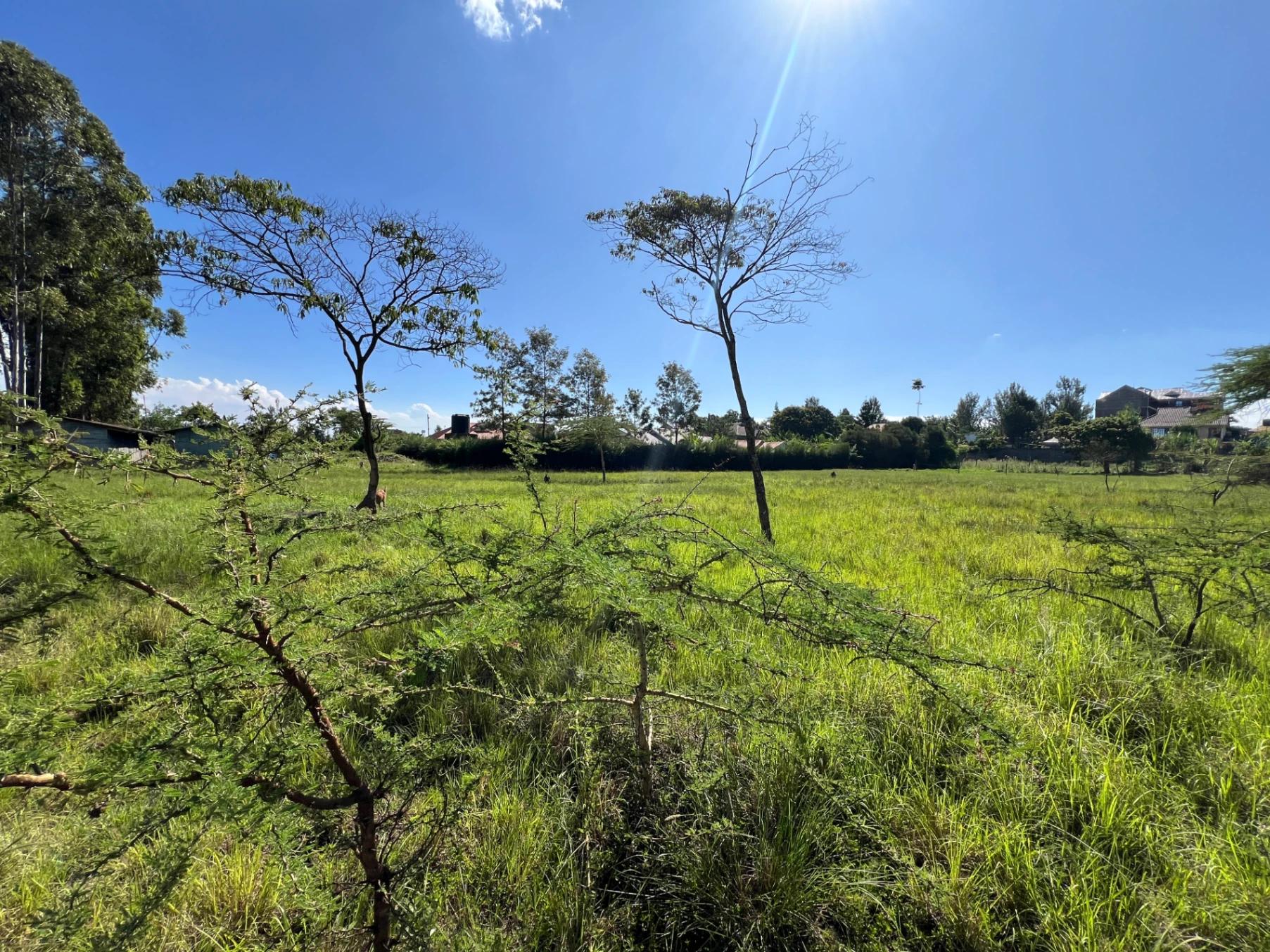 Land for Sale – Mugutha, Kiganjo Road (Ruiru) - Image 5