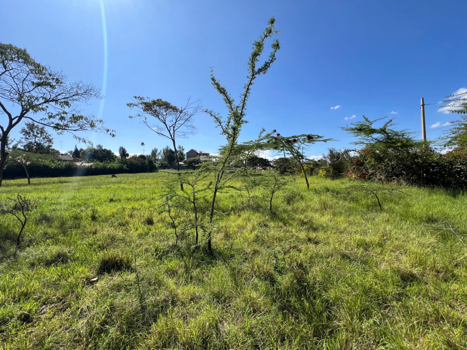Land for Sale – Mugutha, Kiganjo Road (Ruiru) - Image 13