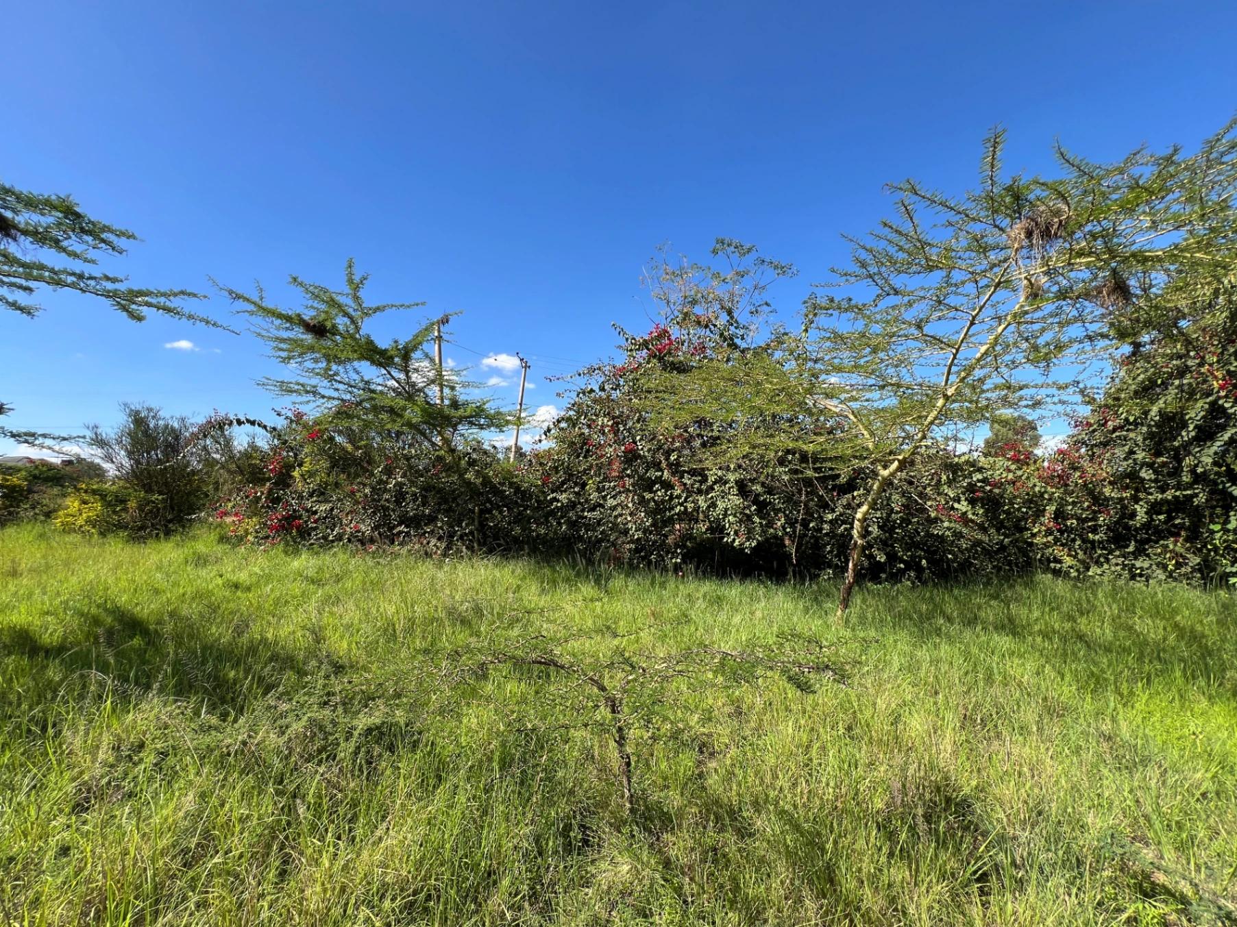 Land for Sale – Mugutha, Kiganjo Road (Ruiru) - Image 7