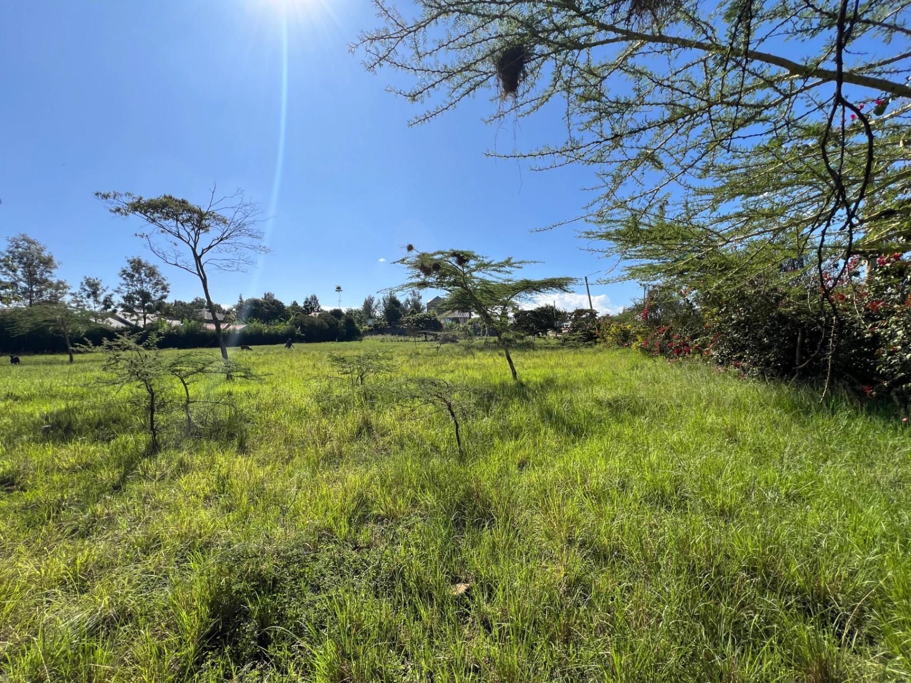Land for Sale – Mugutha, Kiganjo Road (Ruiru) - Image 12
