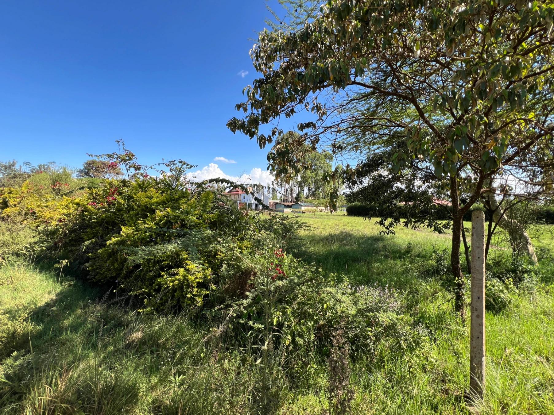 Land for Sale – Mugutha, Kiganjo Road (Ruiru) - Image 11