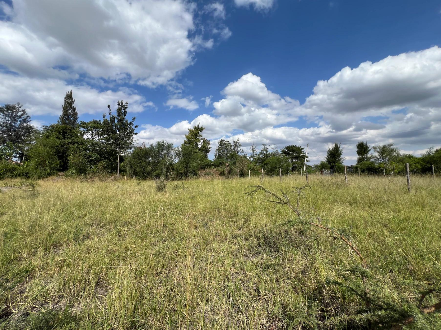 Prime 1/8-Acre Plot for Sale in Juja Mastore – Ksh 2.2M - Image 11