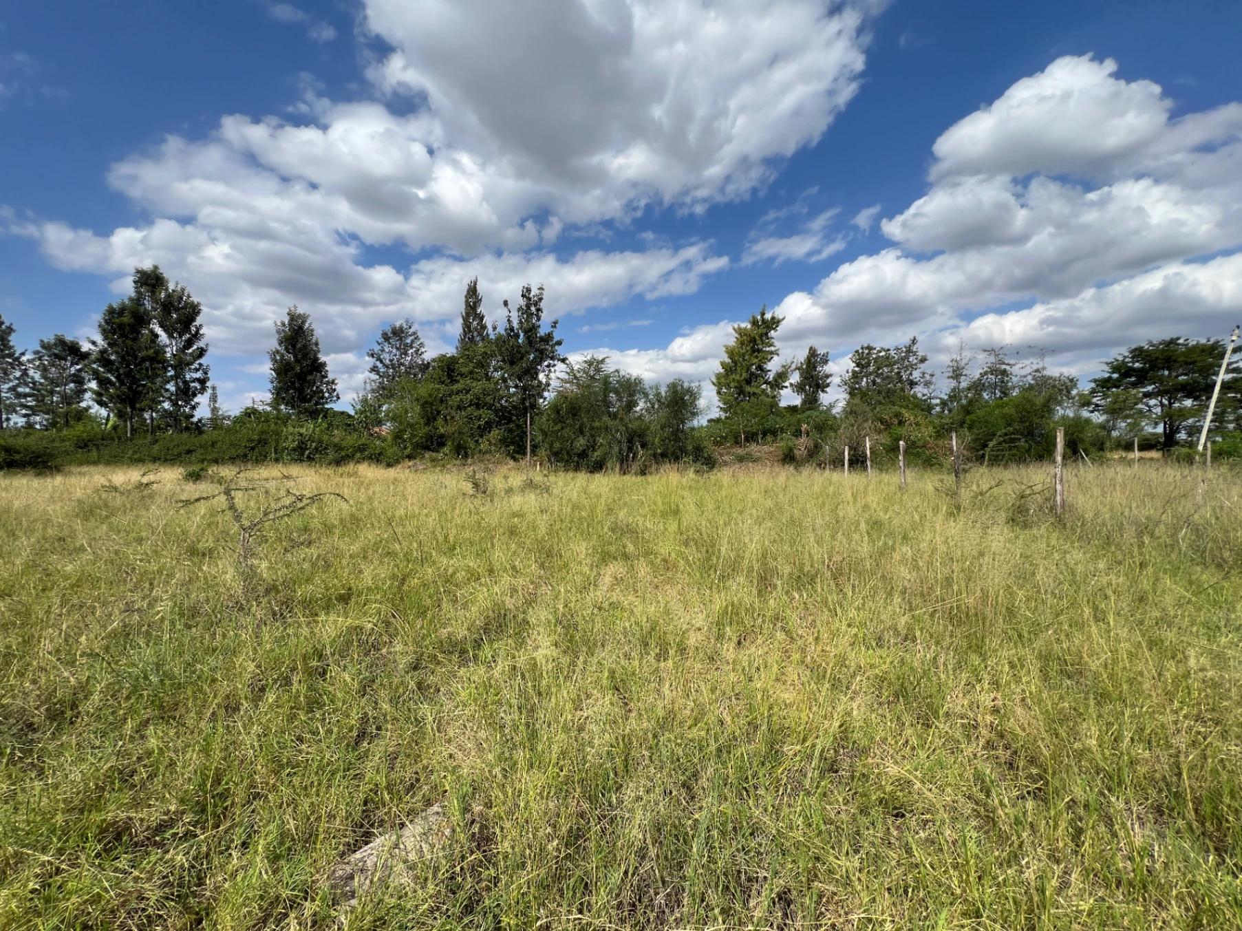 Prime 1/8-Acre Plot for Sale in Juja Mastore – Ksh 2.2M - Image 12