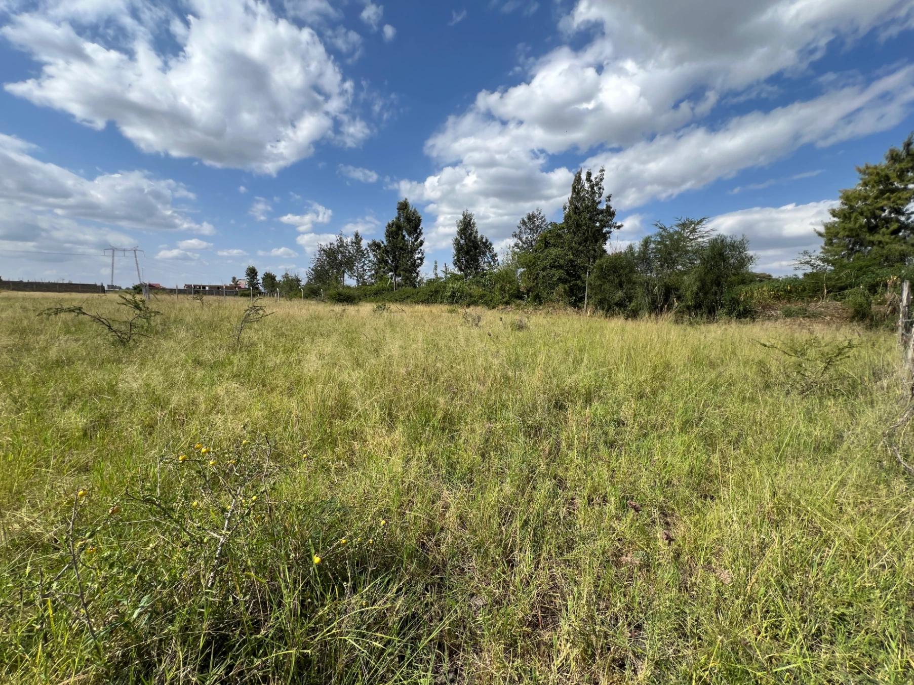 Prime 1/8-Acre Plot for Sale in Juja Mastore – Ksh 2.2M - Image 18